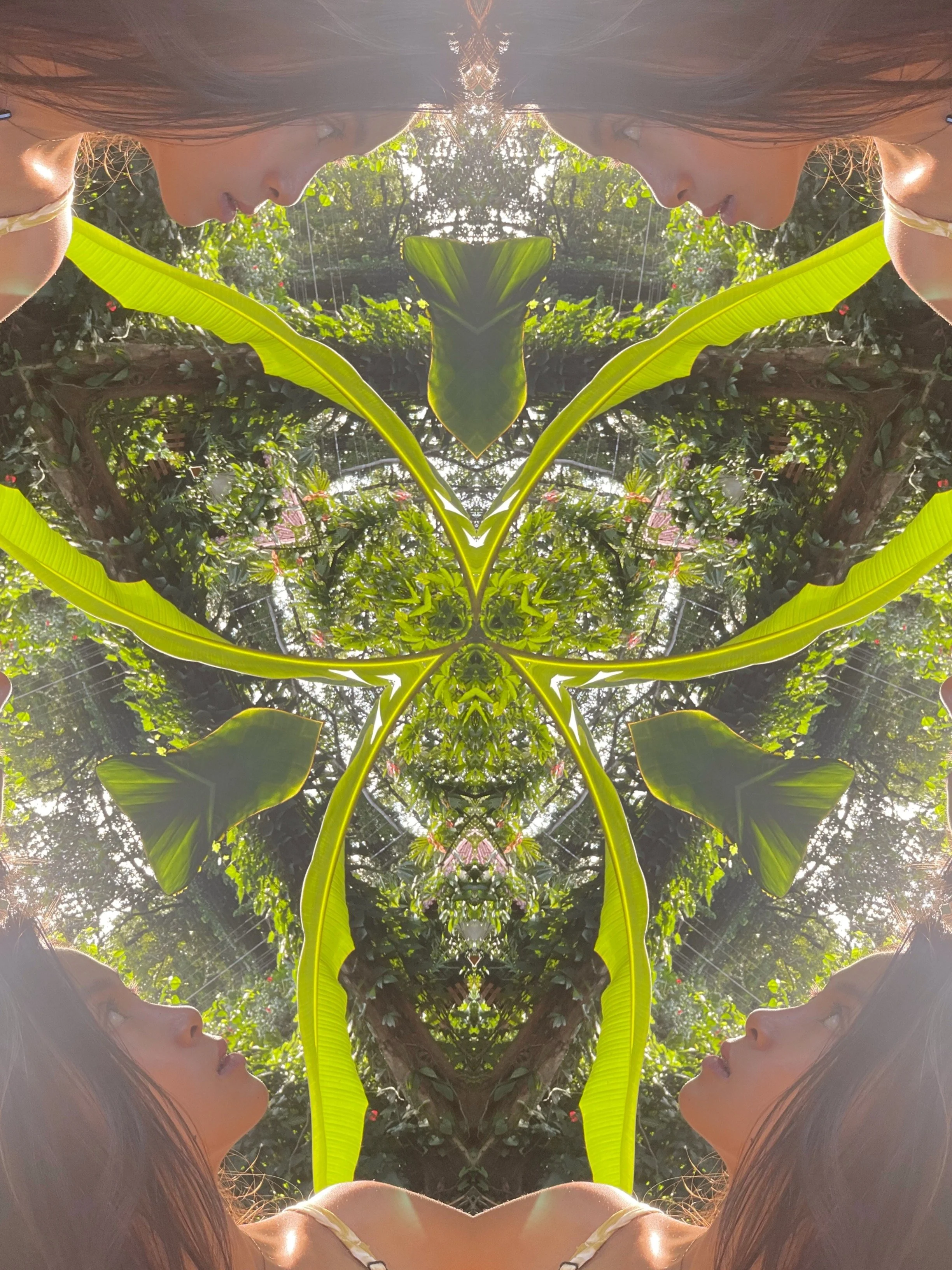 We are the Bridges Between Sky and Earth