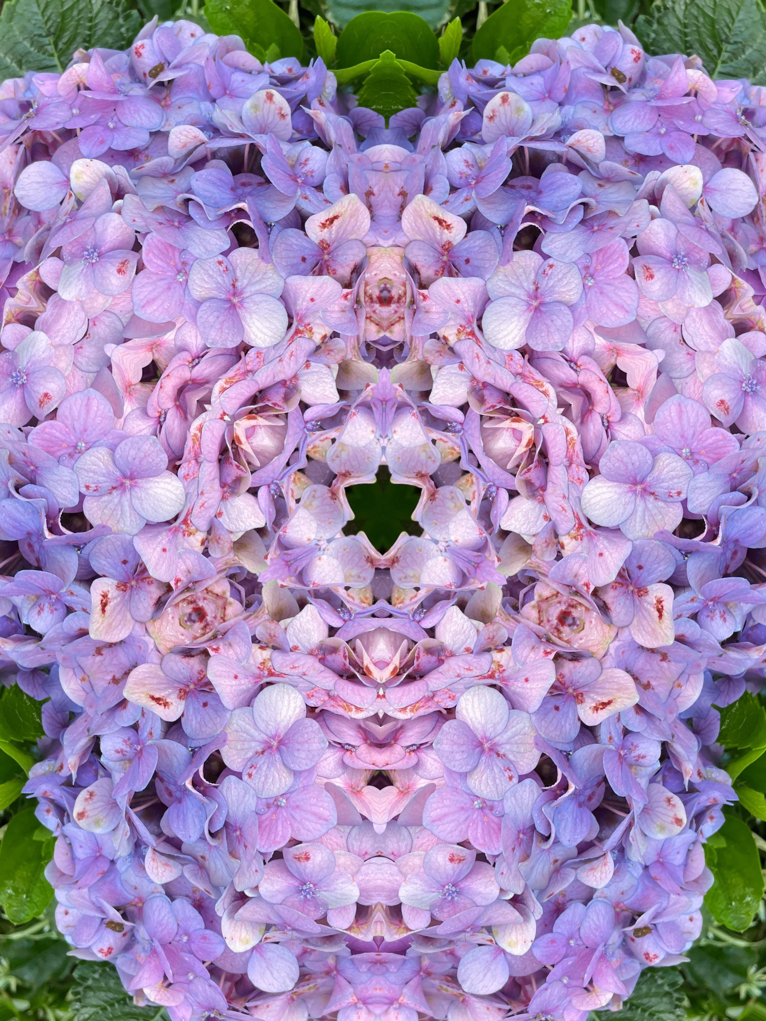 The Dance Between Water &amp; Fire: Full Moon in Sagittarius