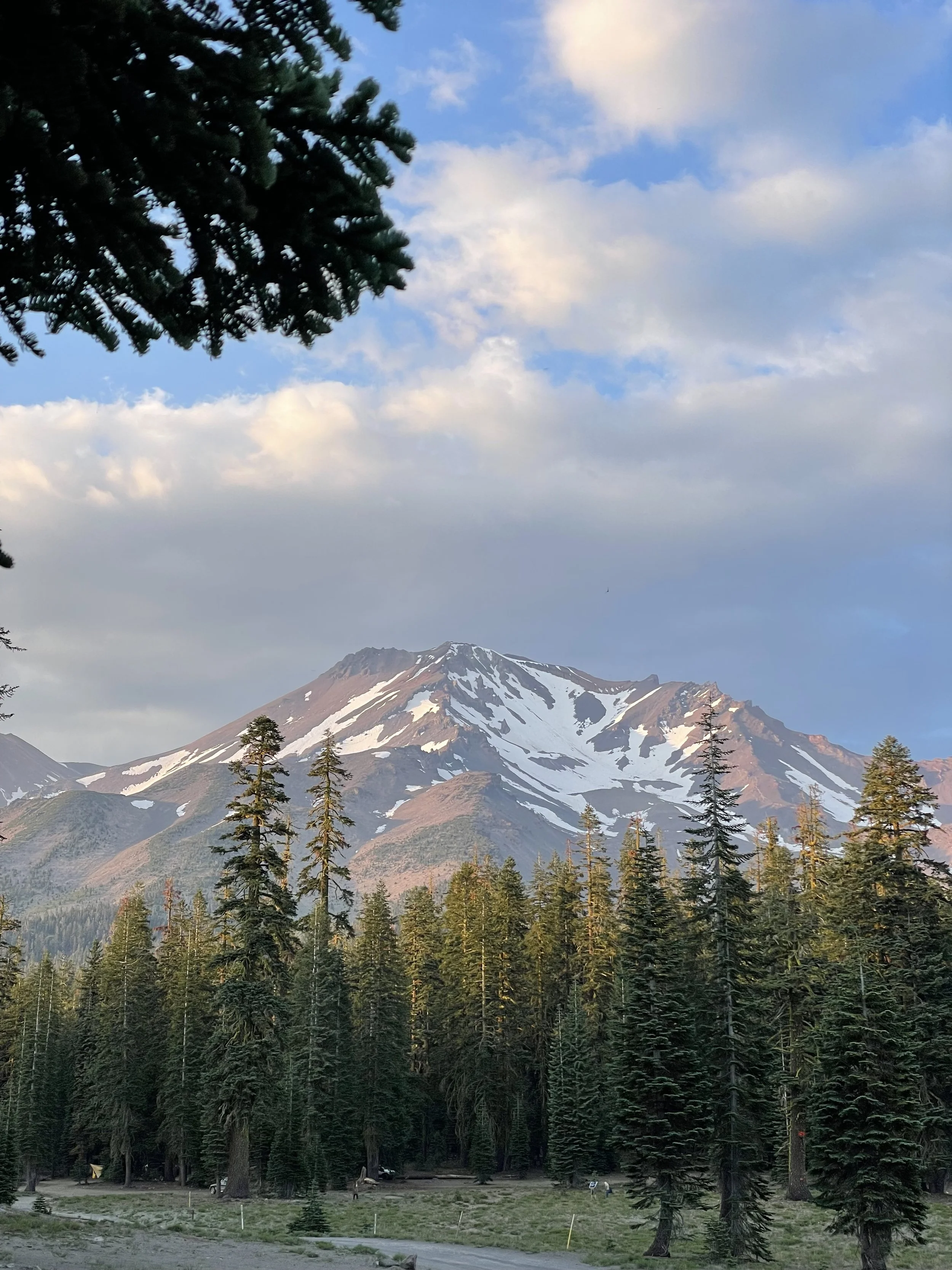 The Art of Wholeness Webinar