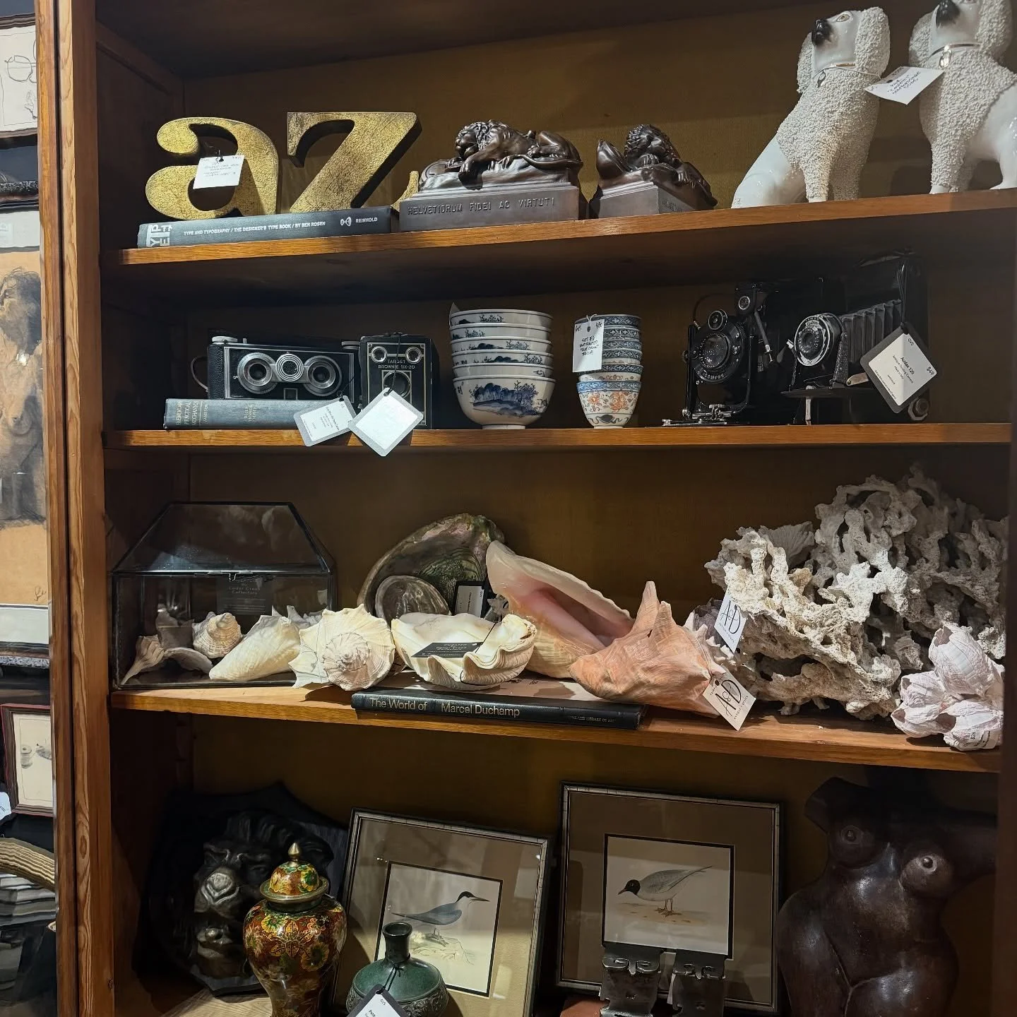 Shop a cabinet of curiosities and so much more