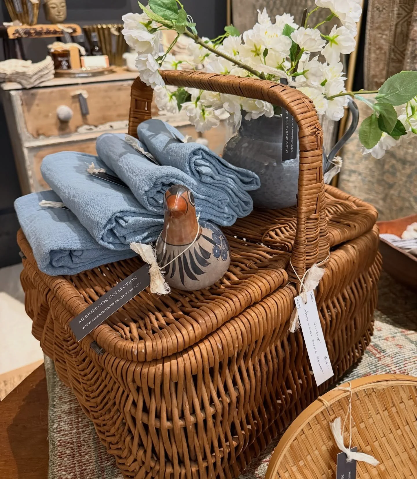 Spring has sprung 🐦