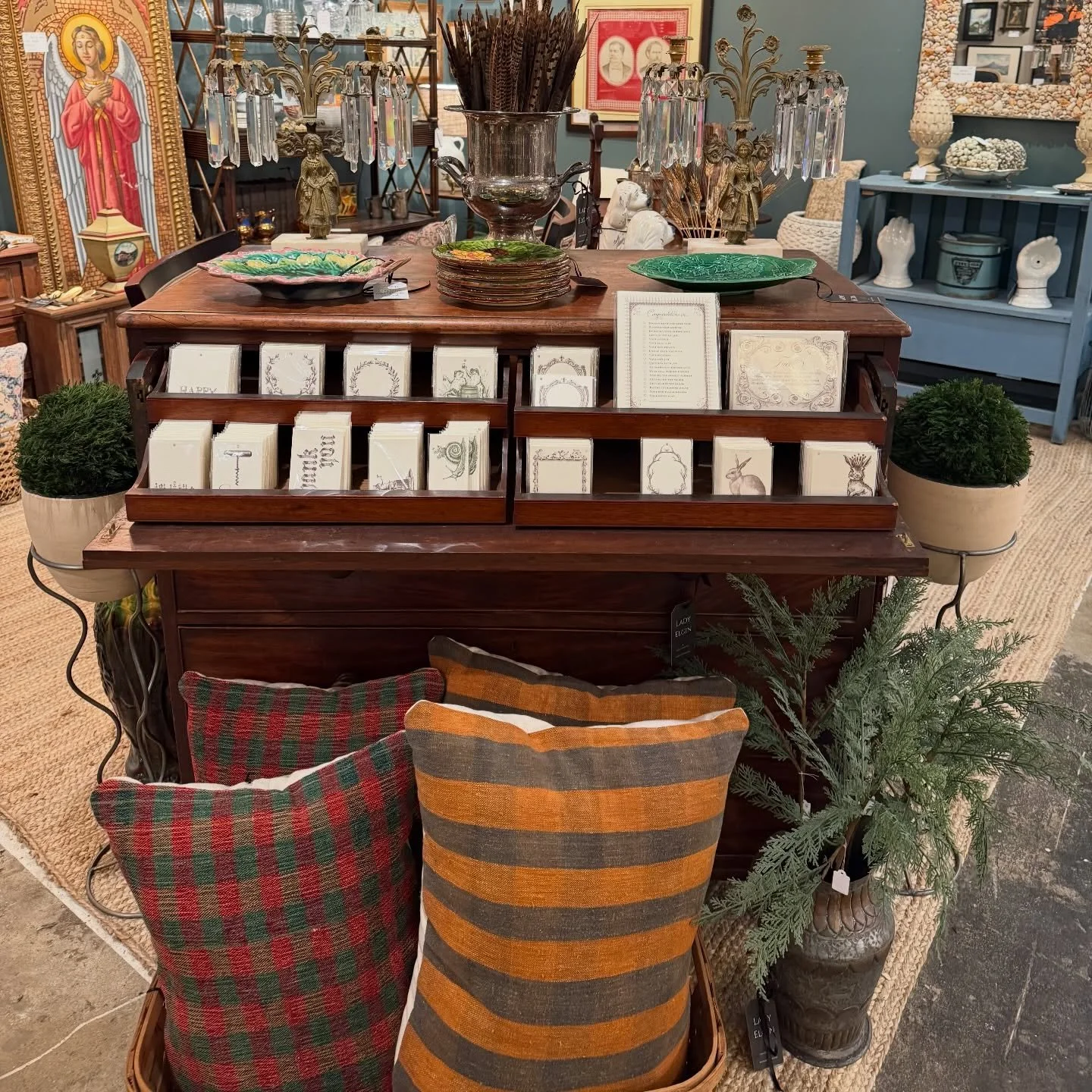 Spring has sprung 🌷