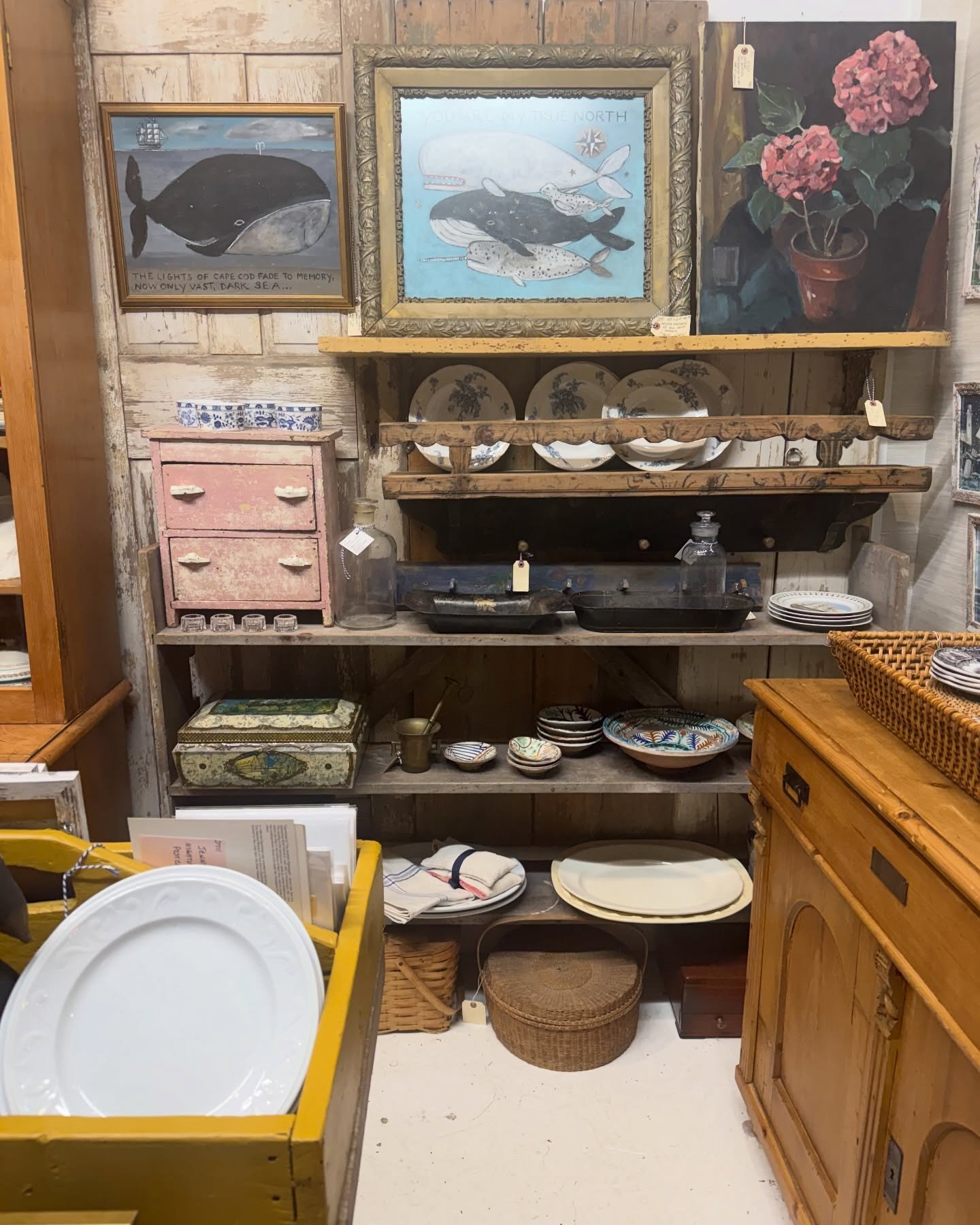 Swimming into the week like 🐋