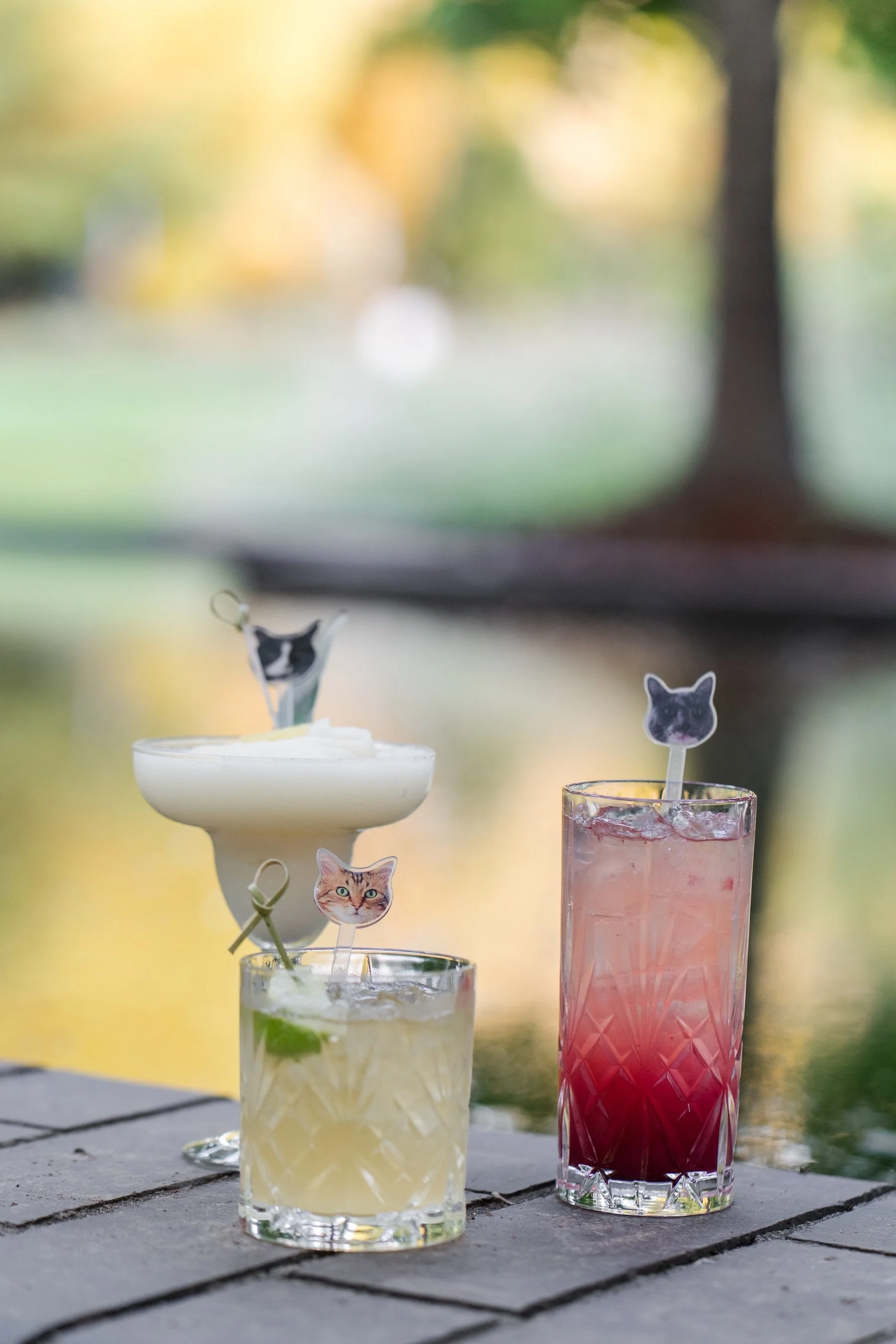 Signature wedding cocktails with custom pet stirrers at an outdoor Oregon wedding weekend reception