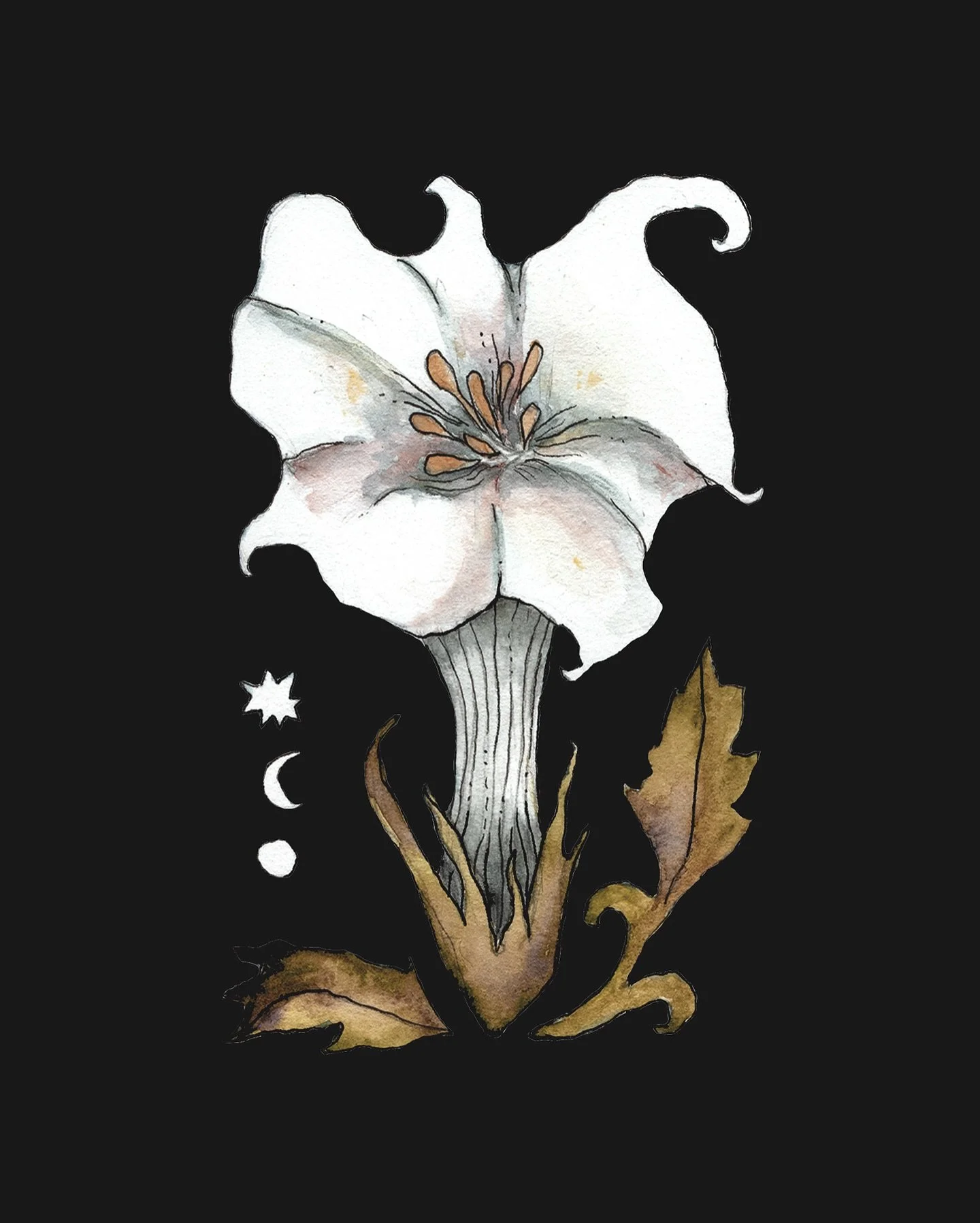 d a t u r a

have you fallen under her spell yet?

I find myself constantly enchanted by her whorling petals, seduced by the sensation of spiralling deep, deep, deep into the underworld

she offers an invitation to breathe and unfurl
to be dark &amp;