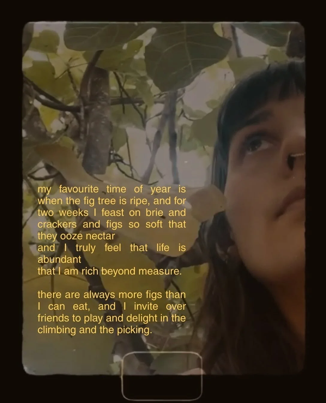 never take a fruit tree for granted // a vignette about regret

#storytelling #prose #existentialism