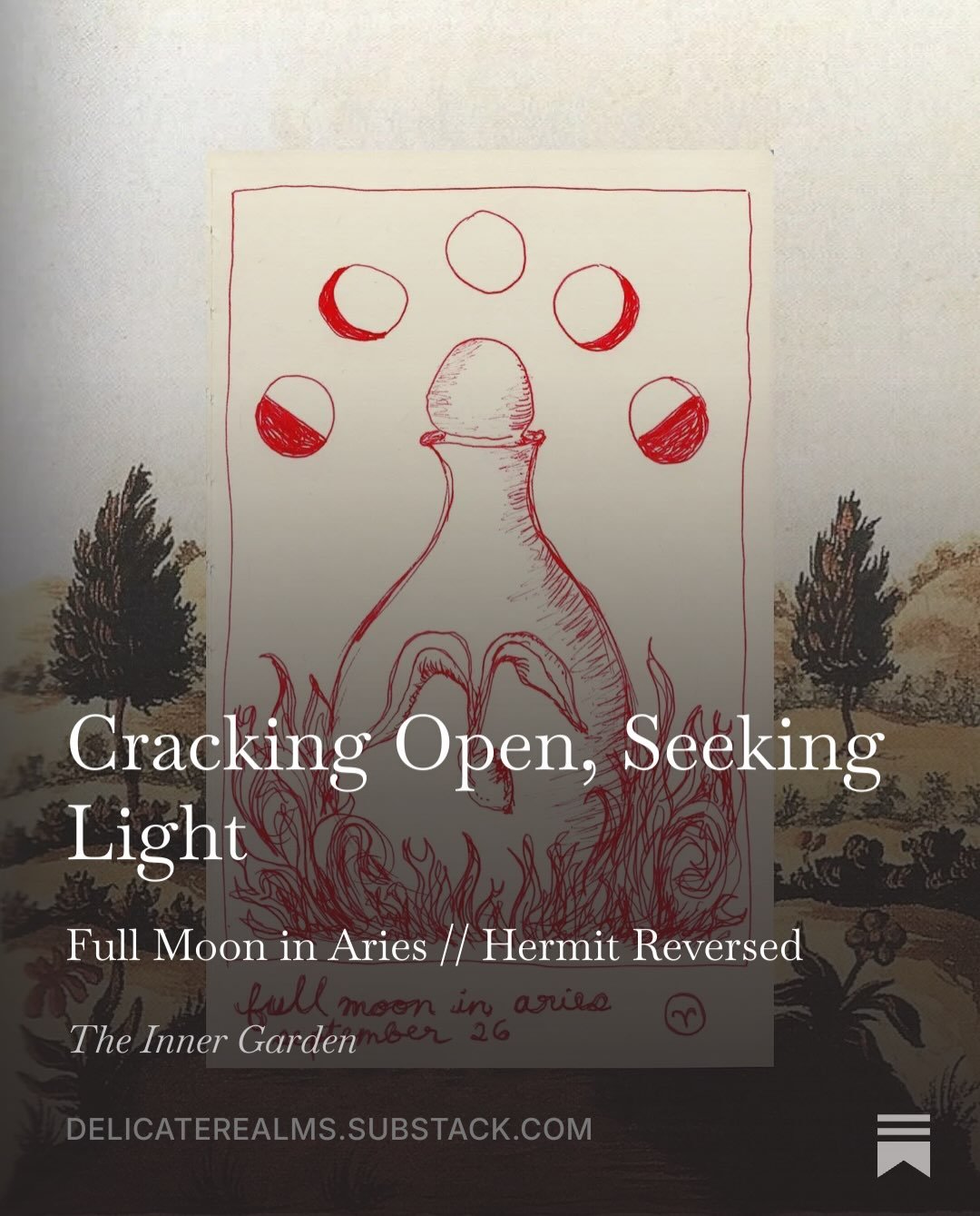 birthed a substack on the aries full moon 🌝💌 its nice over there~ quiet, thoughtful ~a haven for bookish introverts who despise trending audio 🐛

the link to subscribe is in my bio, but I&rsquo;ve put the first article in the slides here to give y