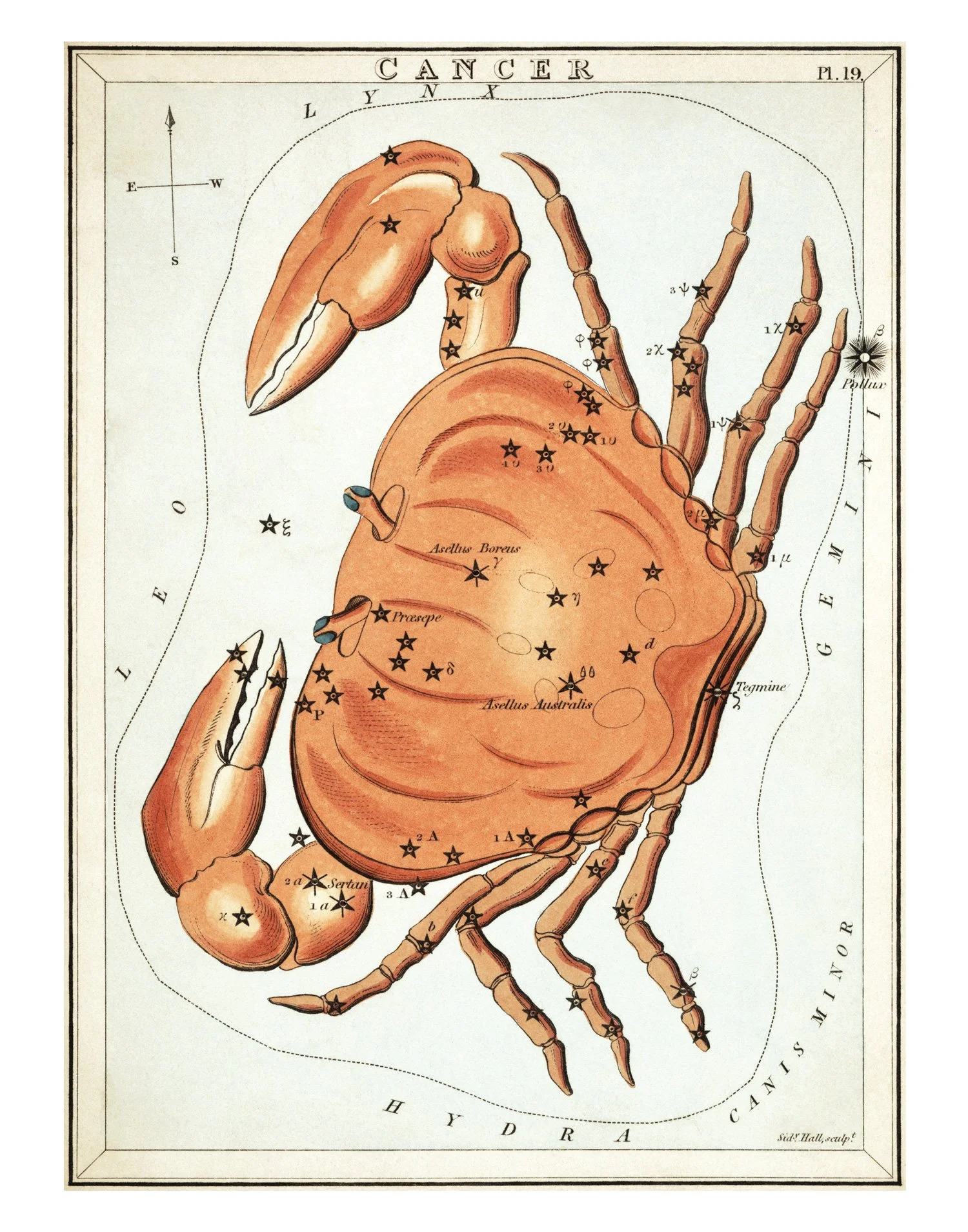 Cancer-11x14-Reproduction.jpg
