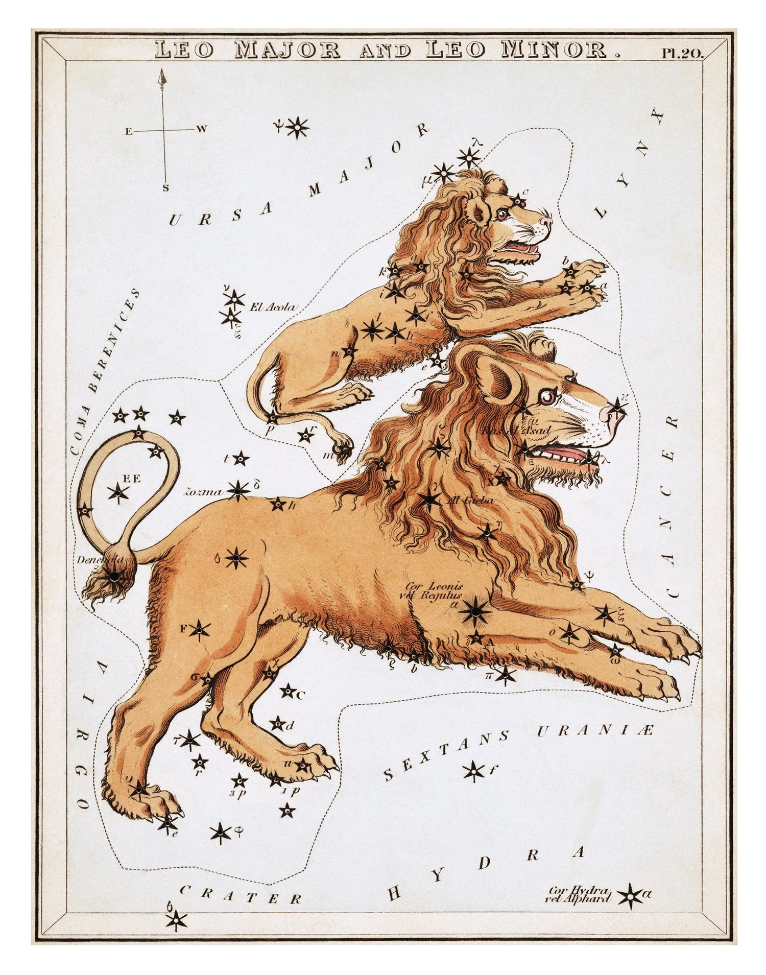 Leo-11x14-Reproduction.jpg