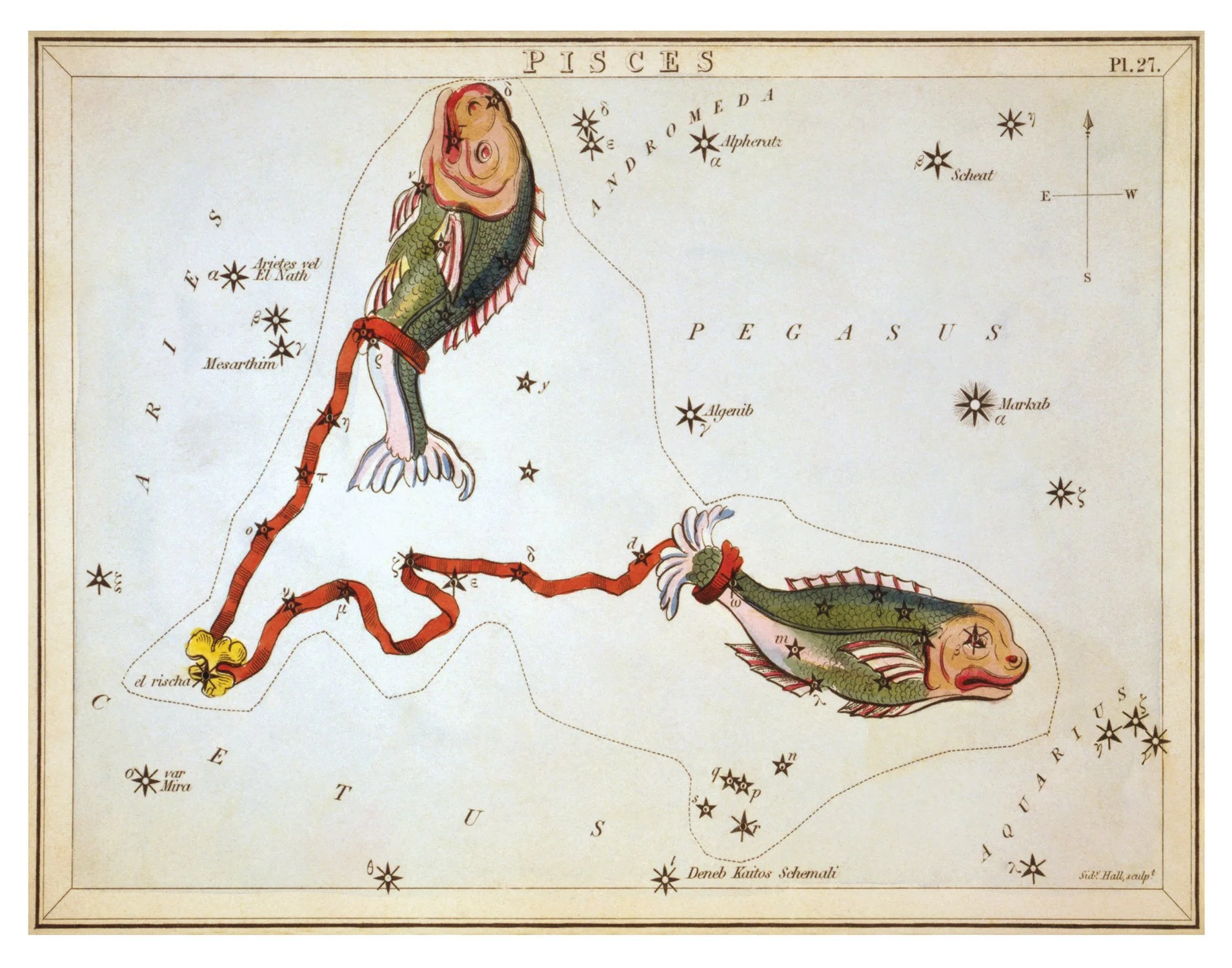 Pisces-11x14-Reproduction.jpg