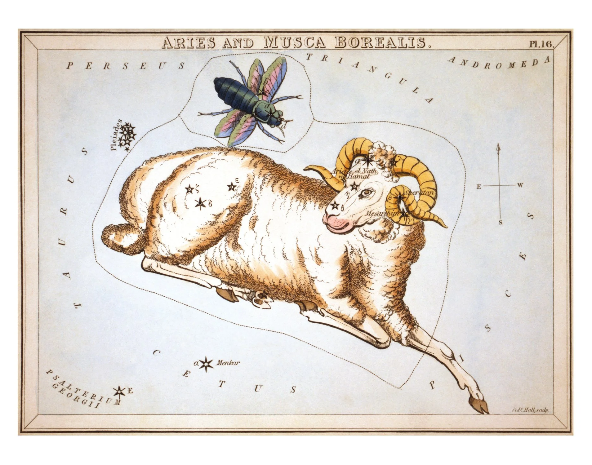 Aries-11x14-Reproduction.jpg