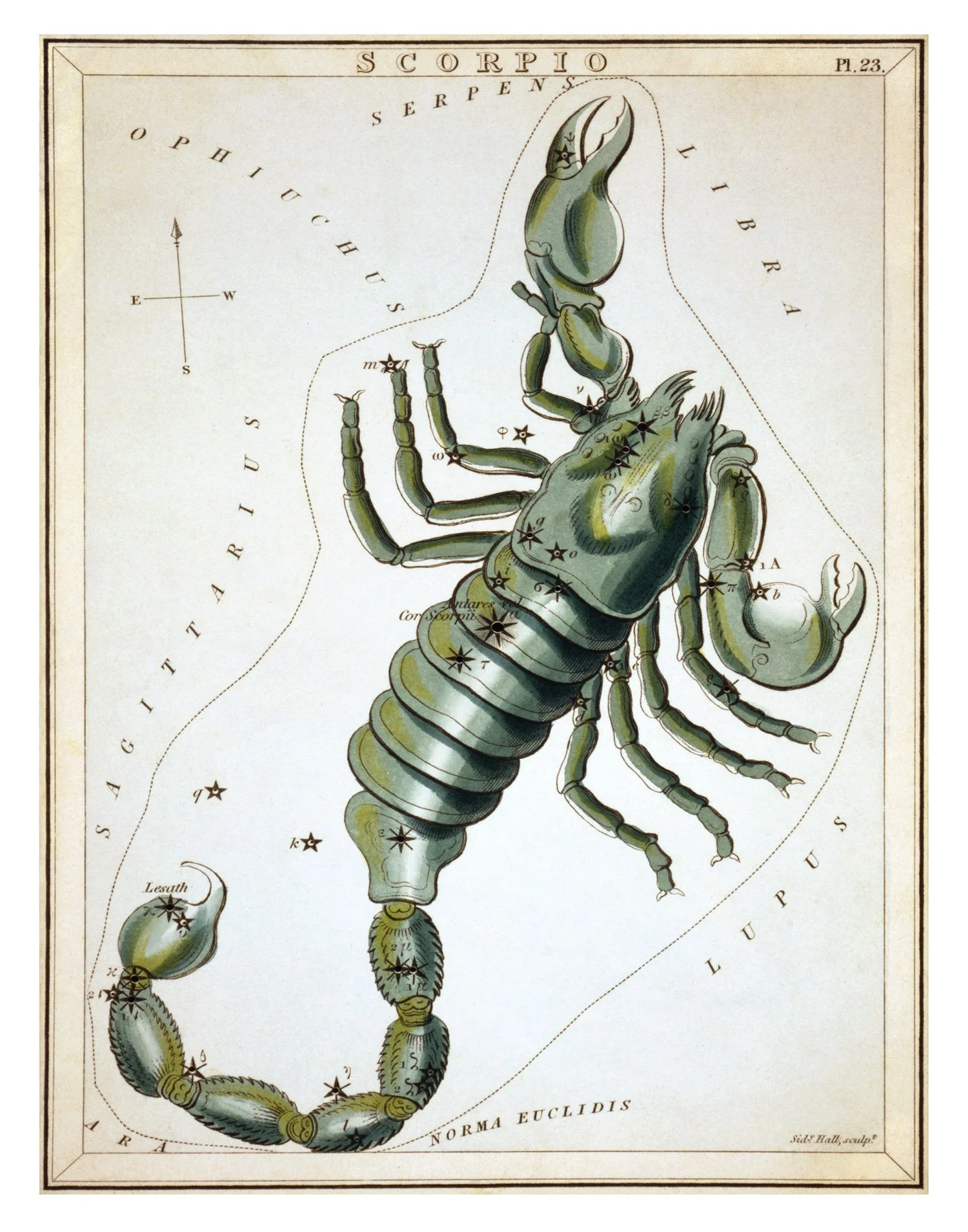 Scorpio-11x14-Reproduction.jpg