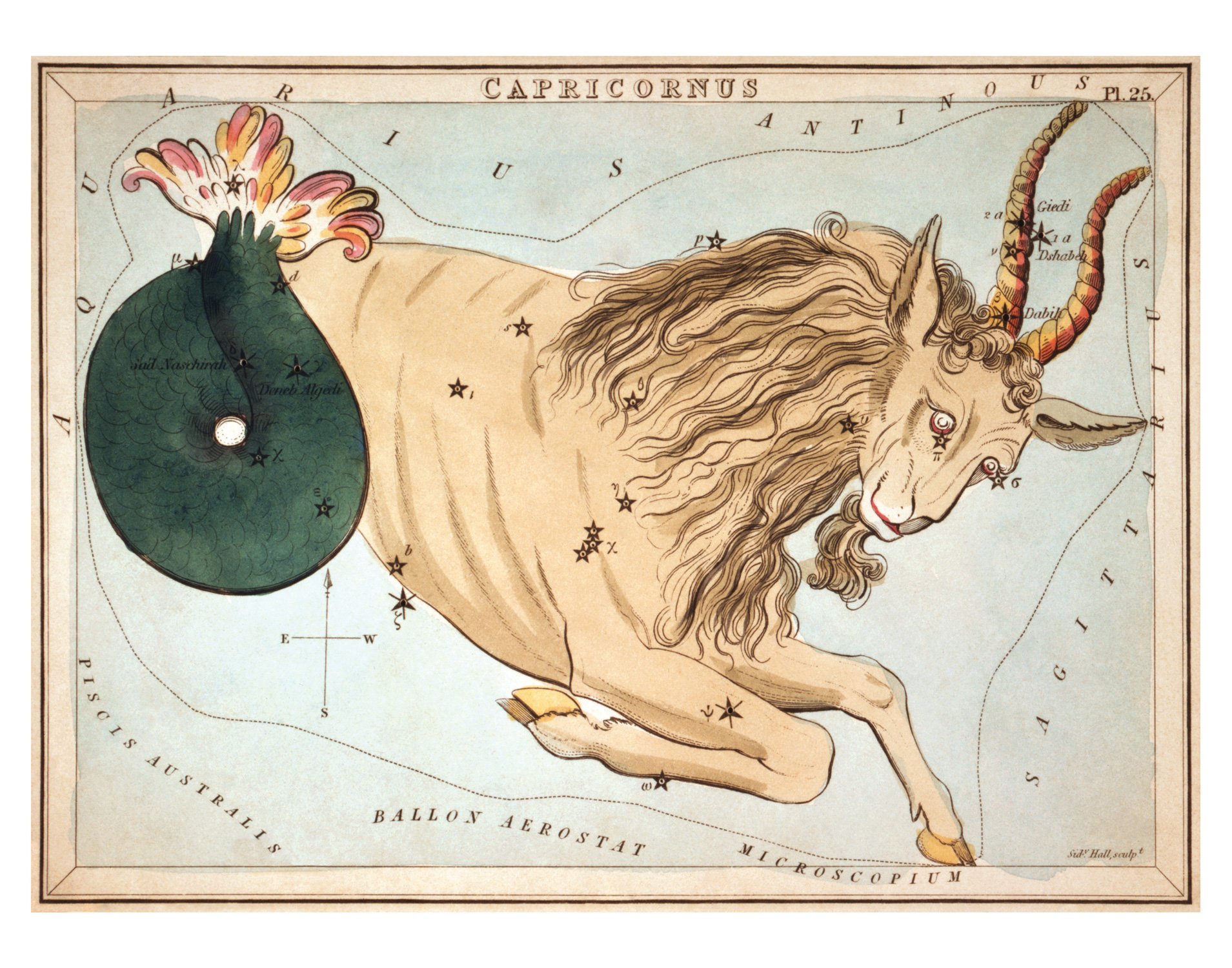 Capricorn-11x14-Reproduction.jpg
