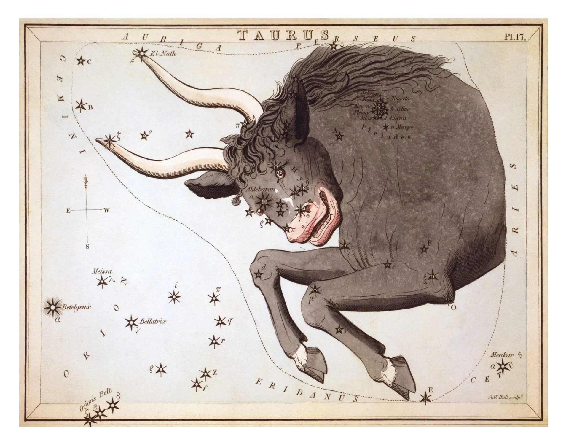Taurus-11x14-Reproduction.jpg