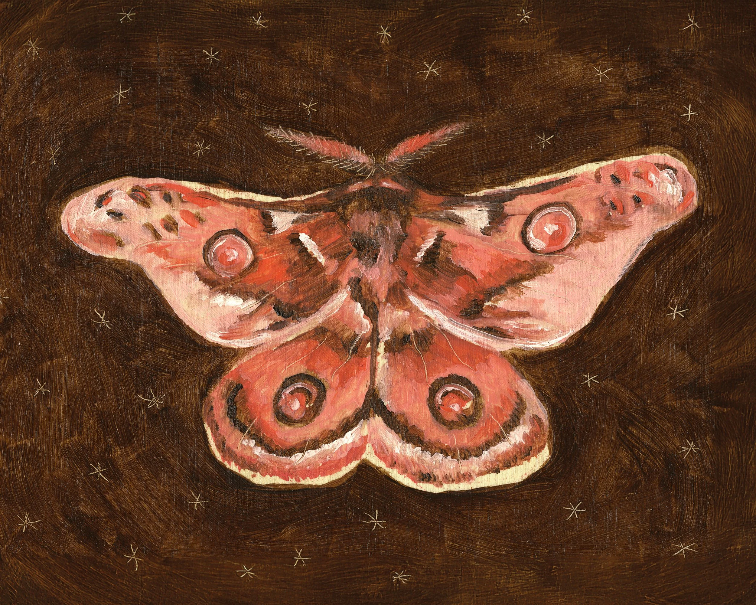 Pink-Moth-8x10-Liliedahl.jpg