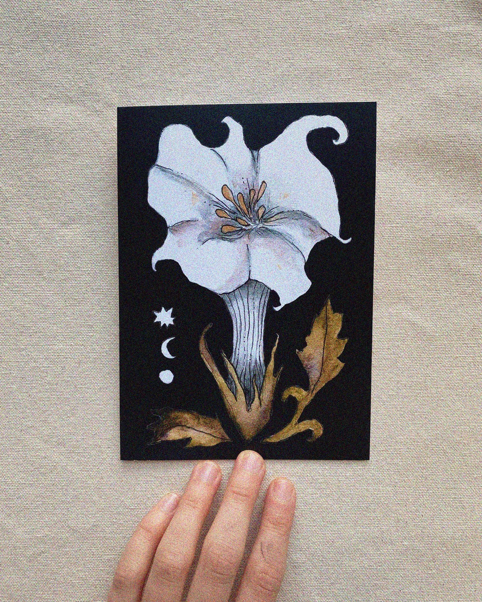 5x7-Datura-Card-Delicate-Realms.jpg