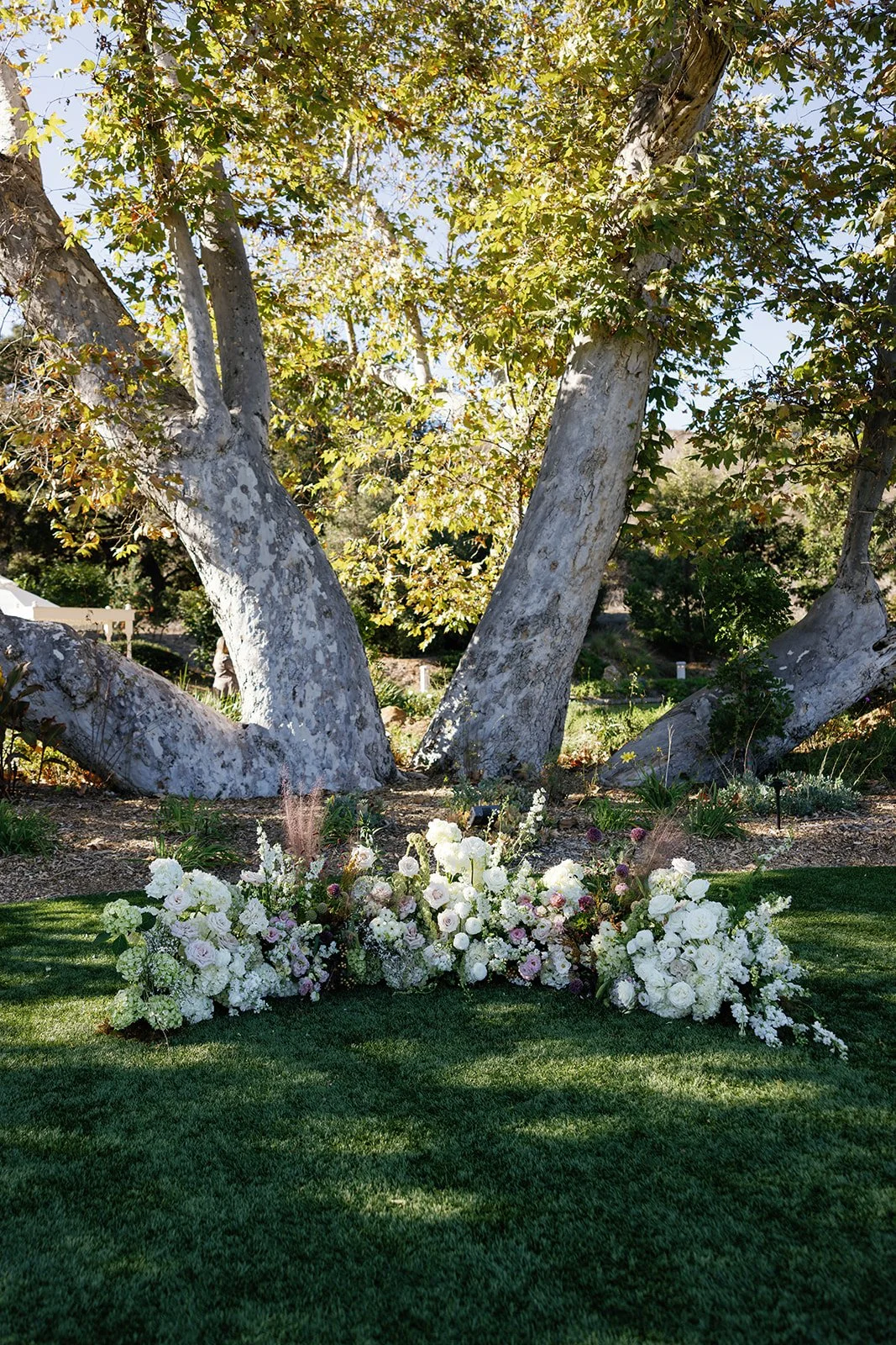 details-109_websize 2.JPG