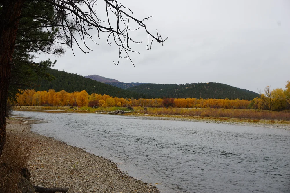  A view of the river in the Fall 
