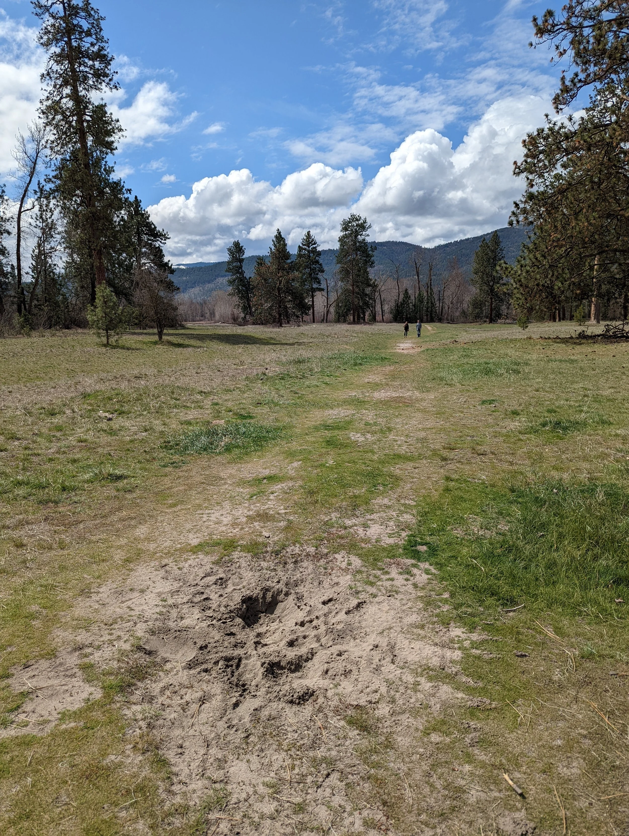 A hole on the path near the parking lot
