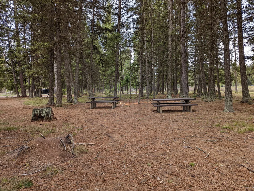  Picnic tables in the woods 