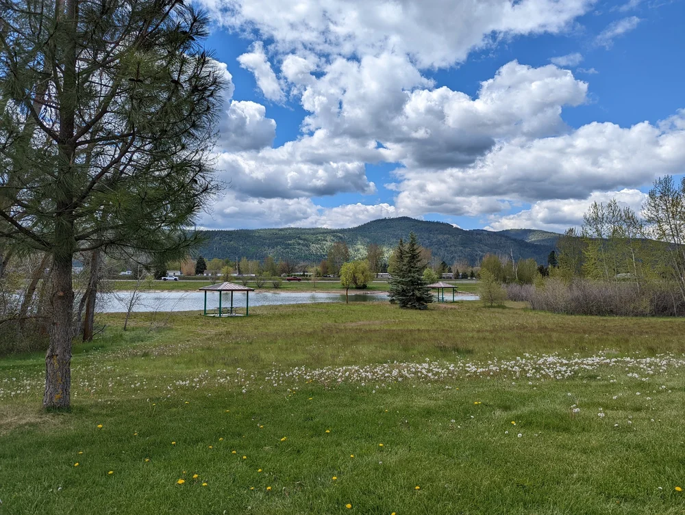  Picnic shelters through the grass near the water 
