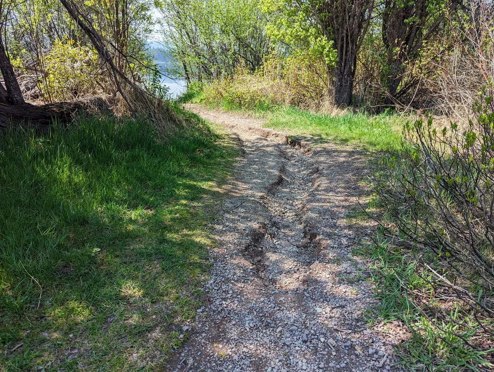  Washed out section of a natural path 