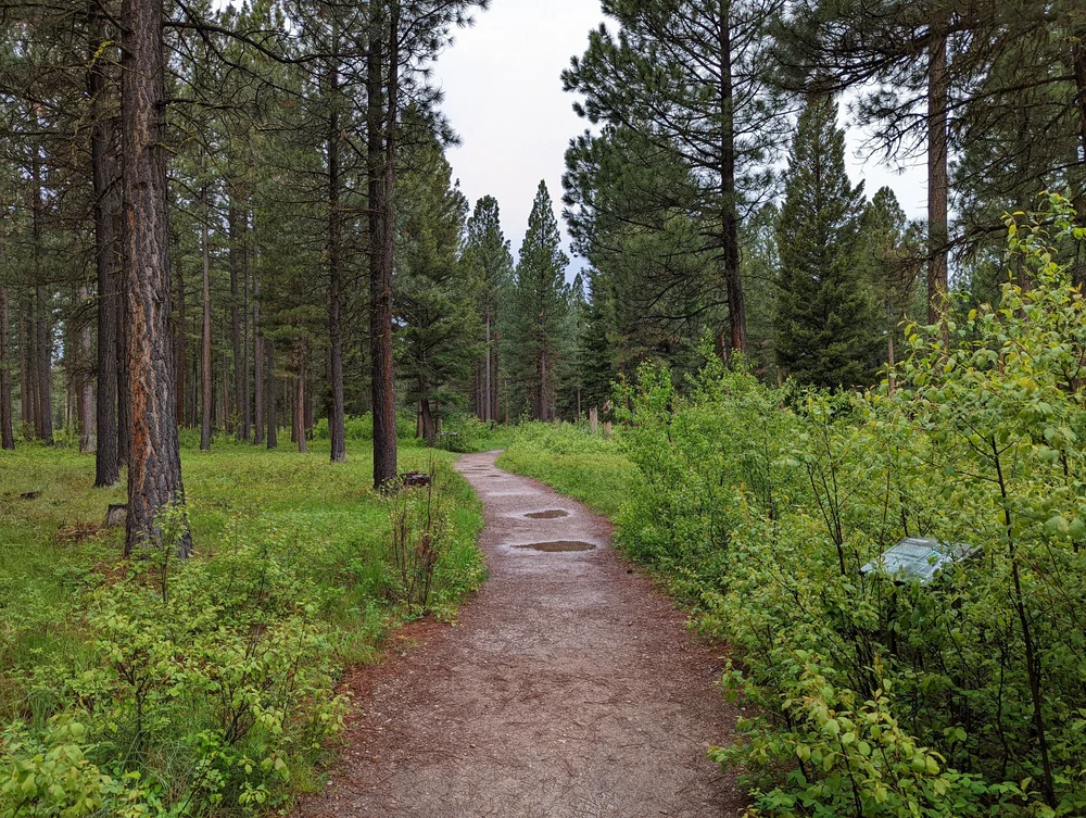  A gravel path that stays firm in the rain 