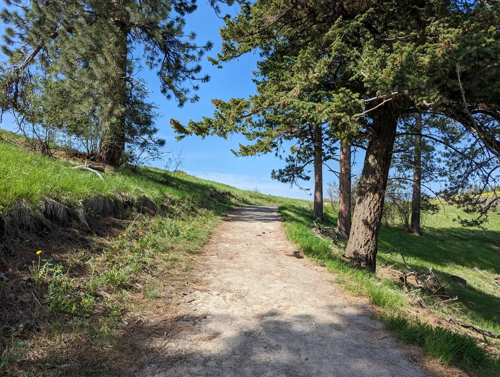  A moderately steep hill 