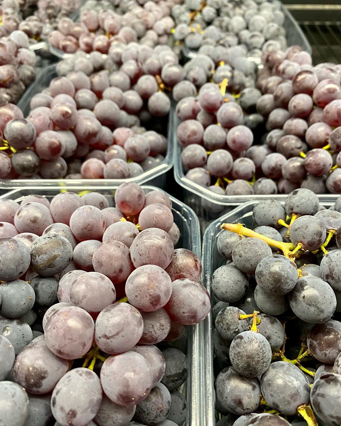 If you haven&rsquo;t tried local Concord grapes I highly recommend you do! The flavour can&rsquo;t be beat! 

#concordgrapes #local #localfruit