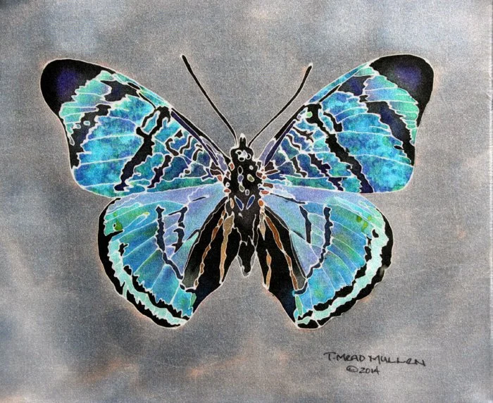 Blue+Dream+Butterfly.jpg