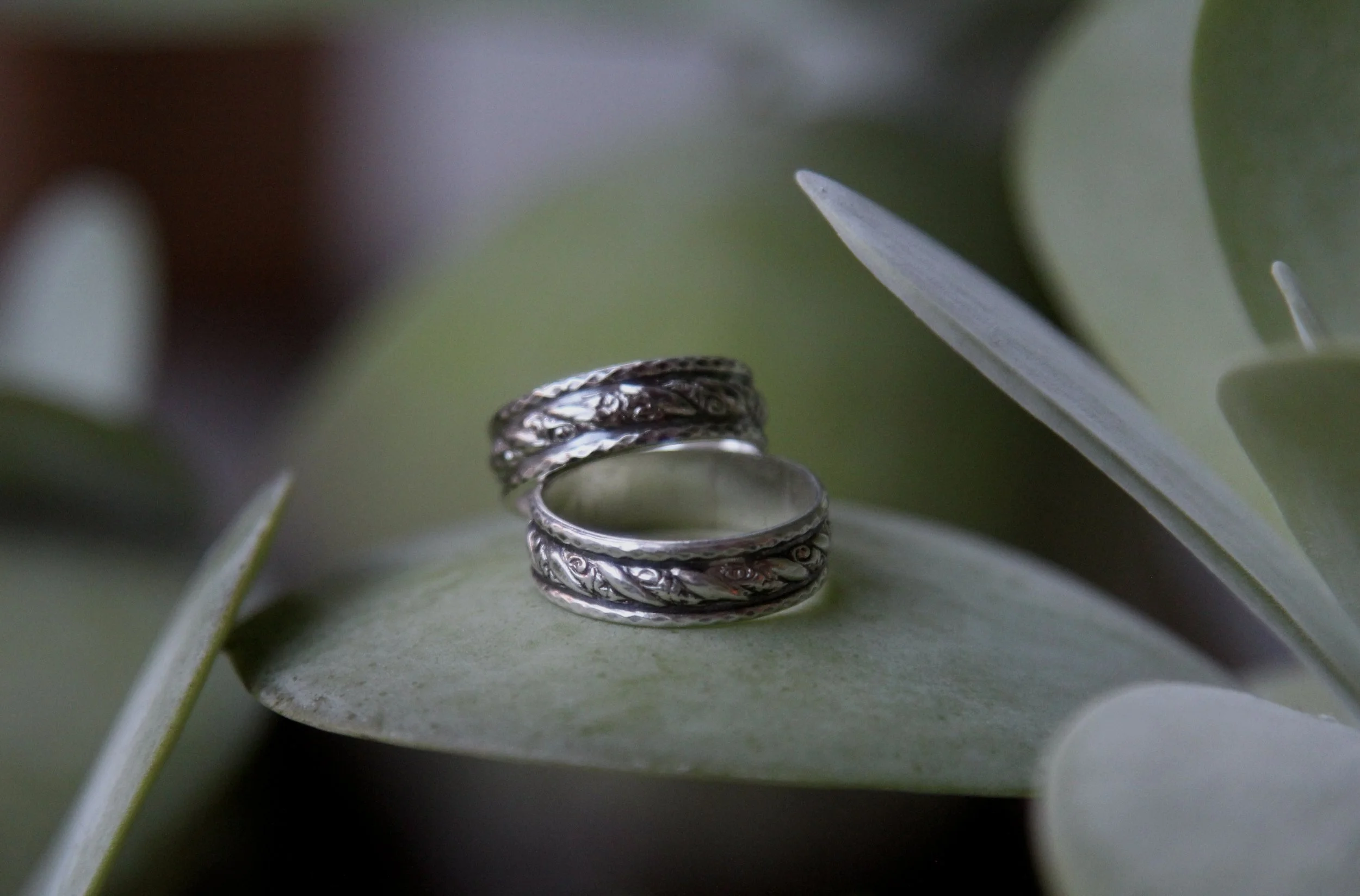Close-up of two silver rings with ornate designs resting on green succulent plant leaves.