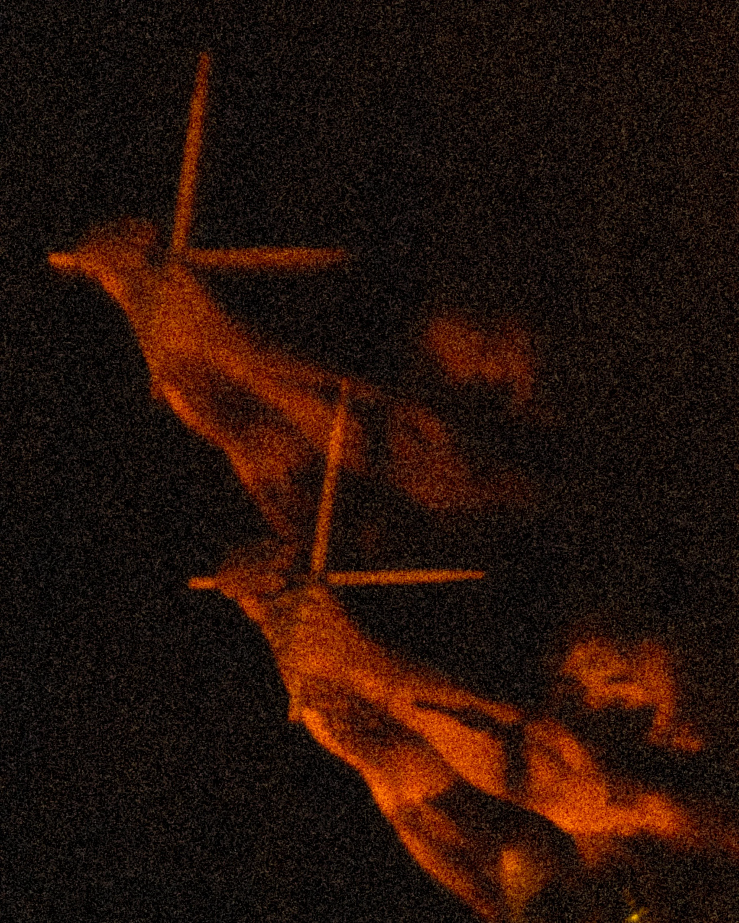DSC01276.jpg
