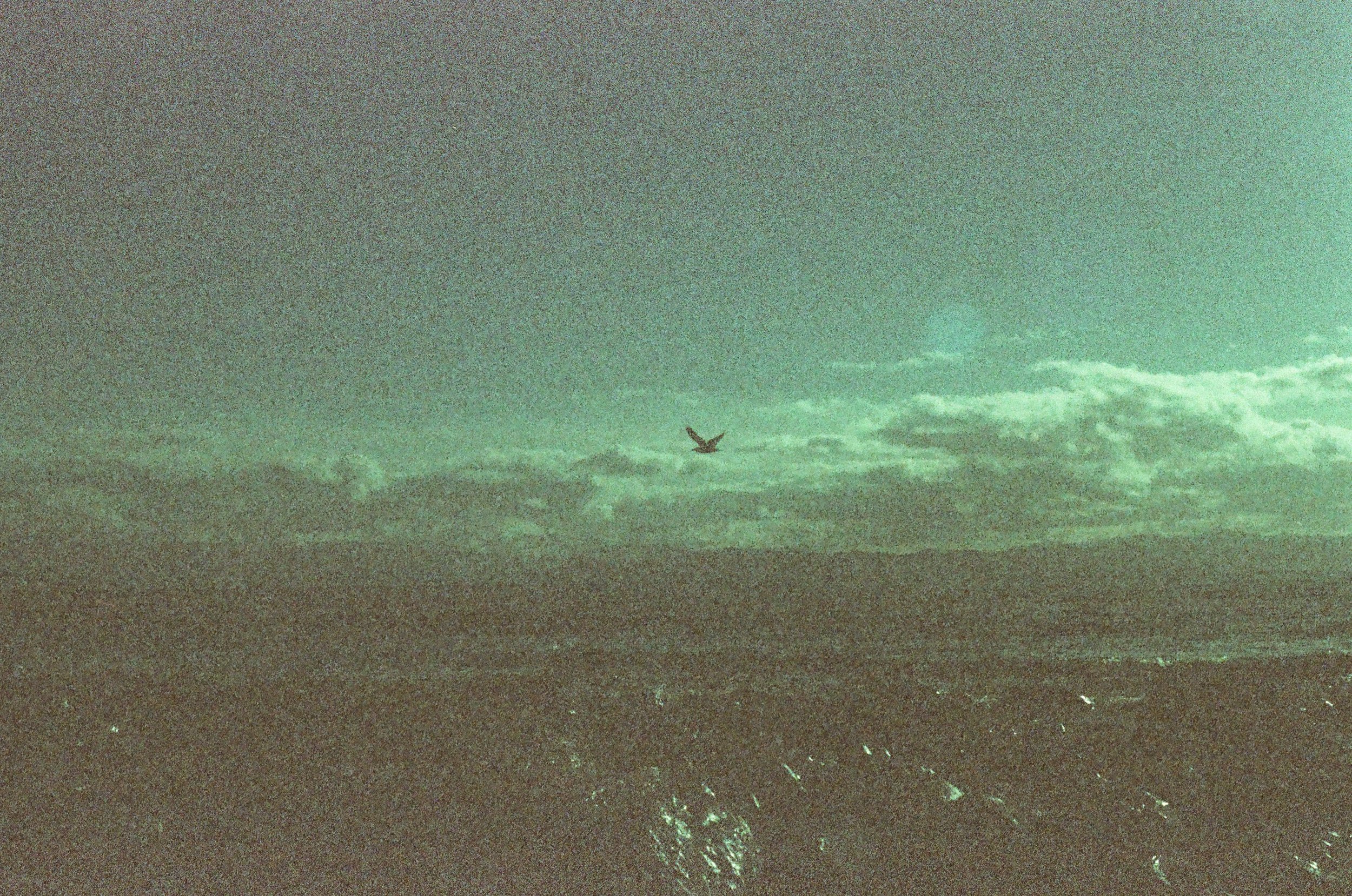 0005_###.jpg