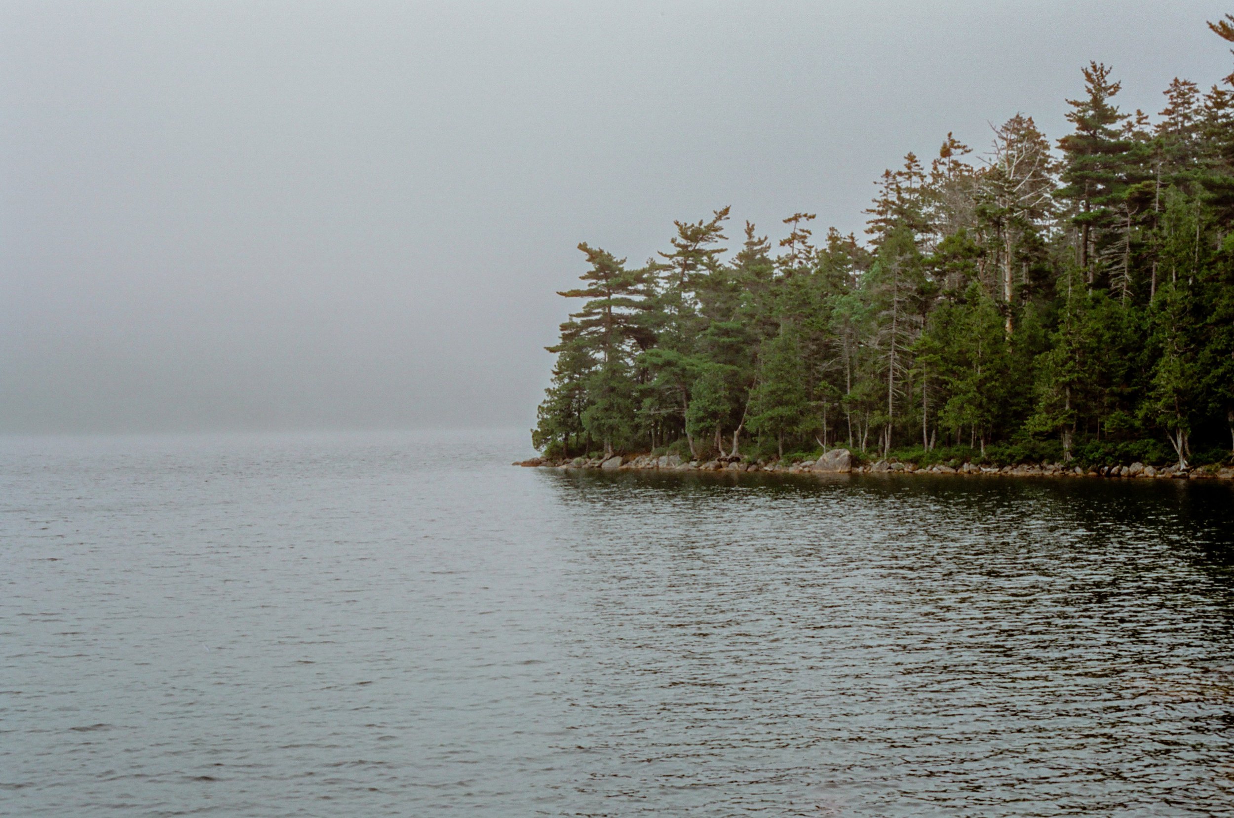 Canon EOS 1n Cinestill 50D-16.jpg