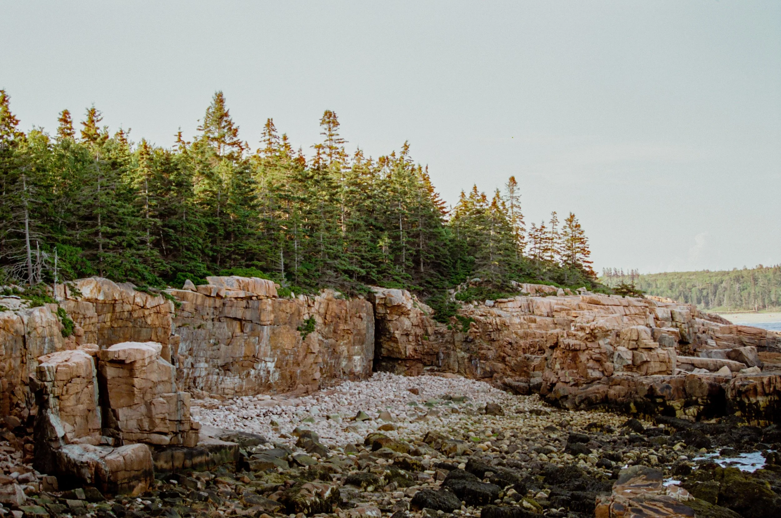 Canon EOS 1n Cinestill 50D-5.jpg