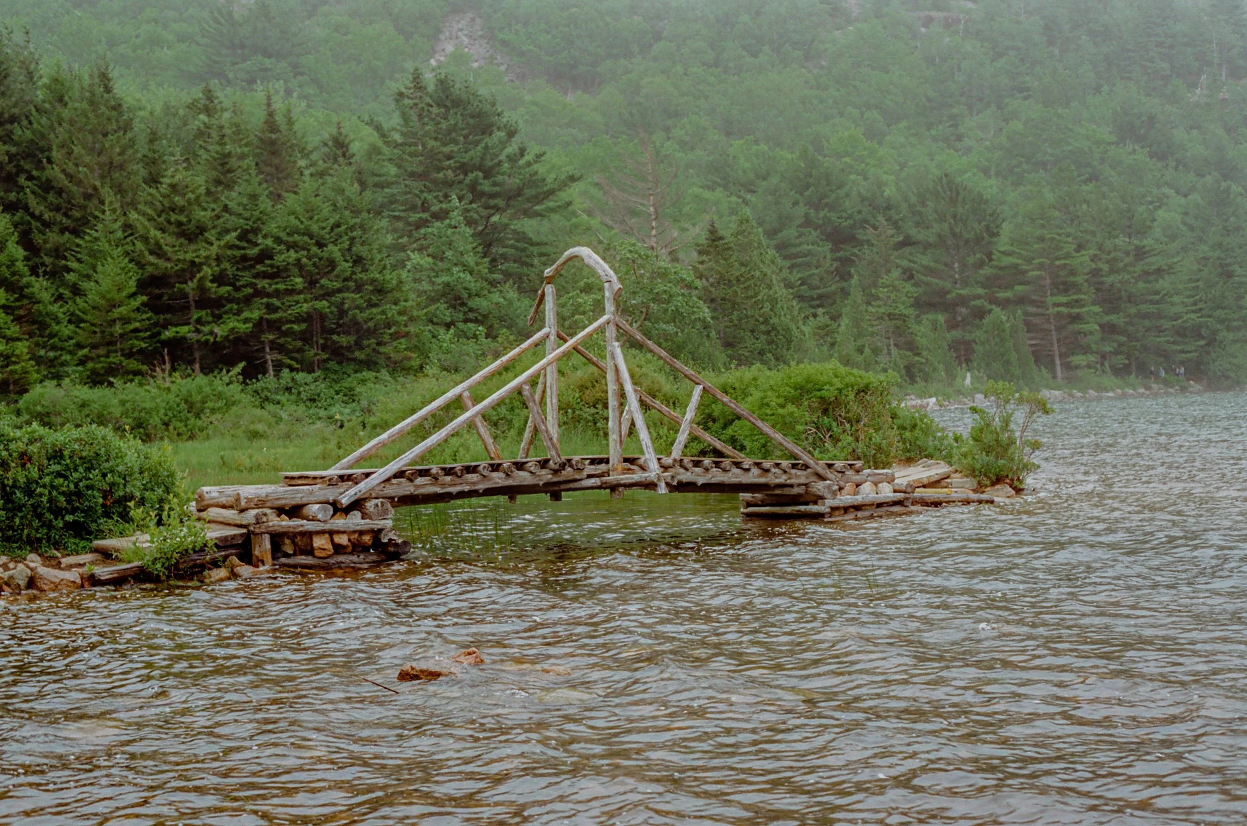 Canon EOS 1n Cinestill 50D-20.jpg