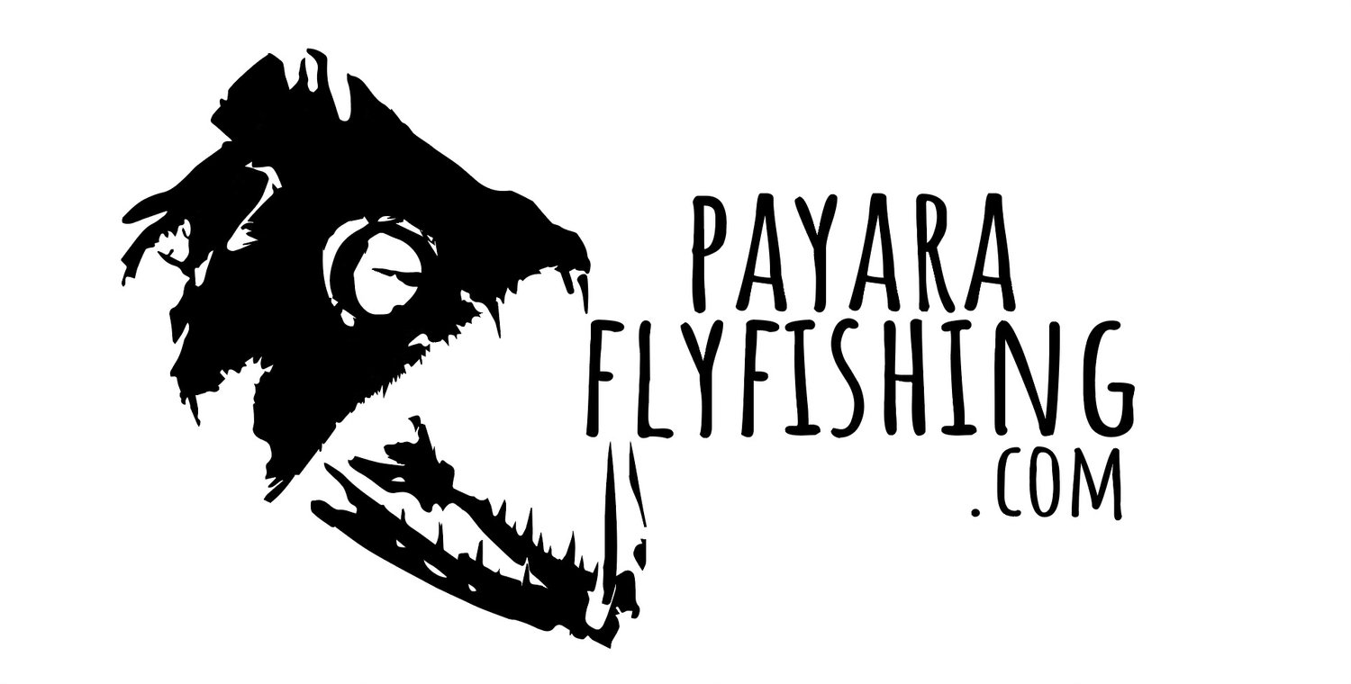 Payara Flyfishing