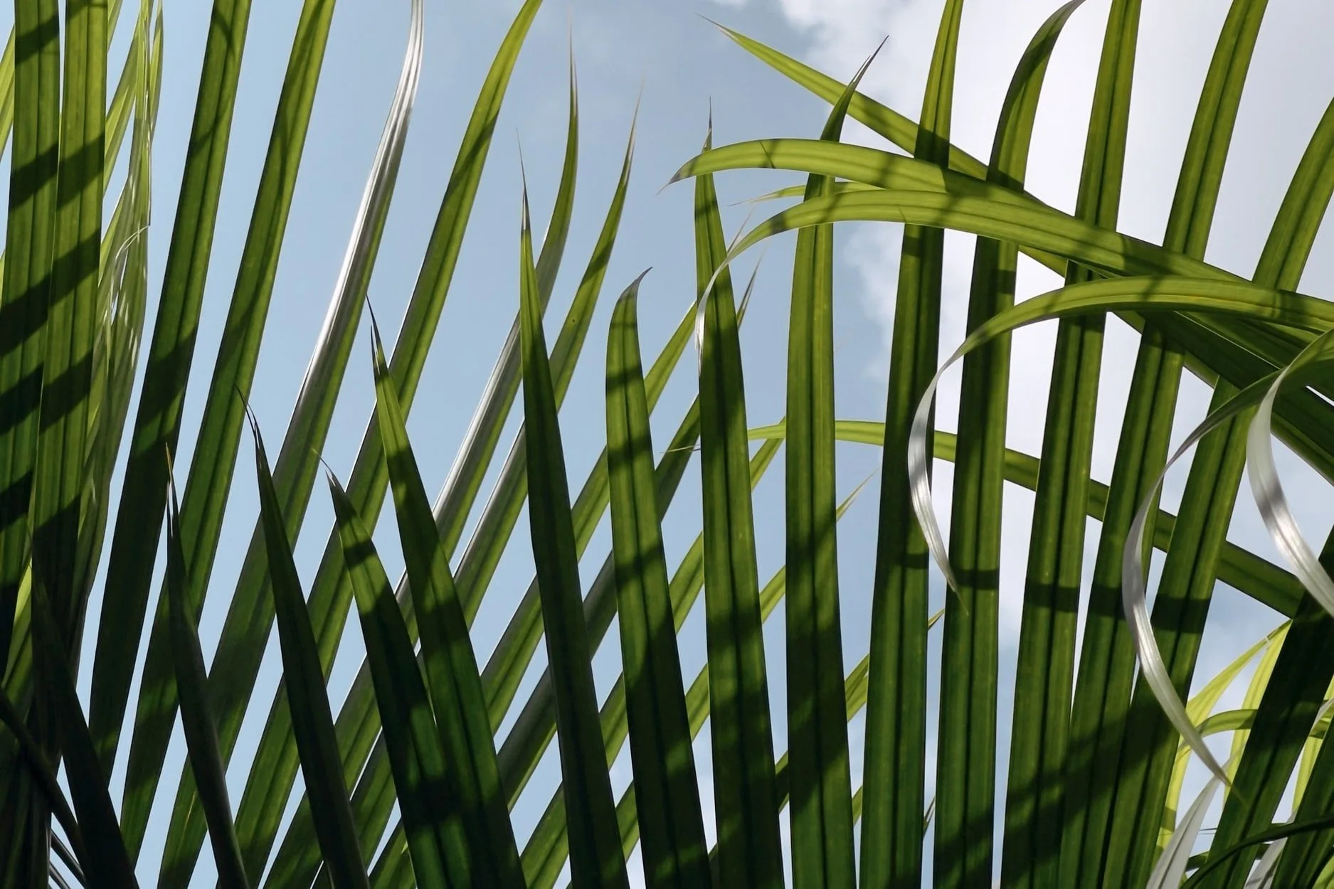 Classes — Good Foundation Fredericksburg