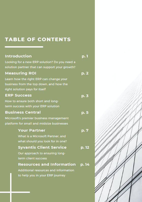 PDF_Ebook_How an Active Partner Increases ROI_Teaser 4.png