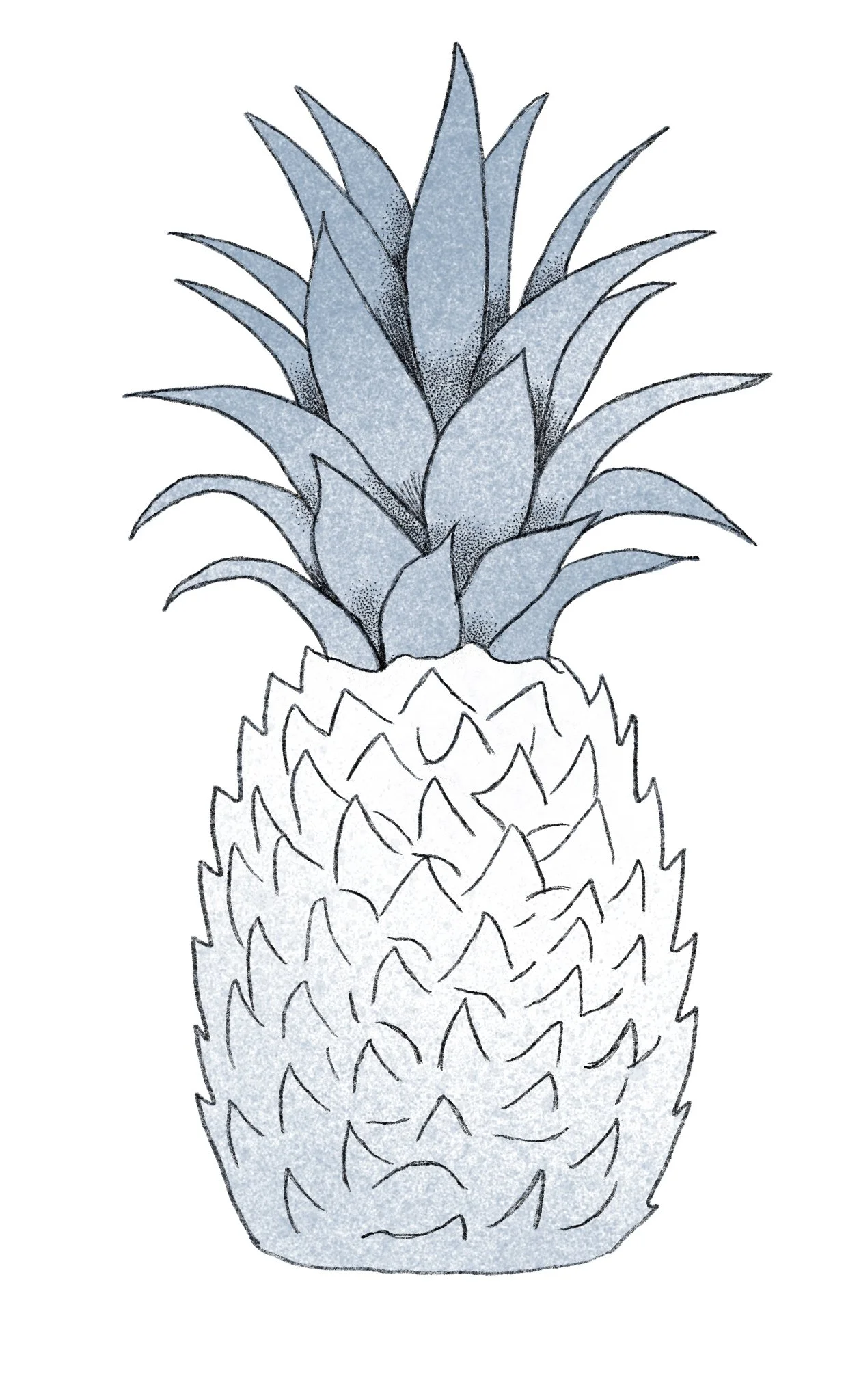 Editorial spot illustration of a pineapple by Laura Sant