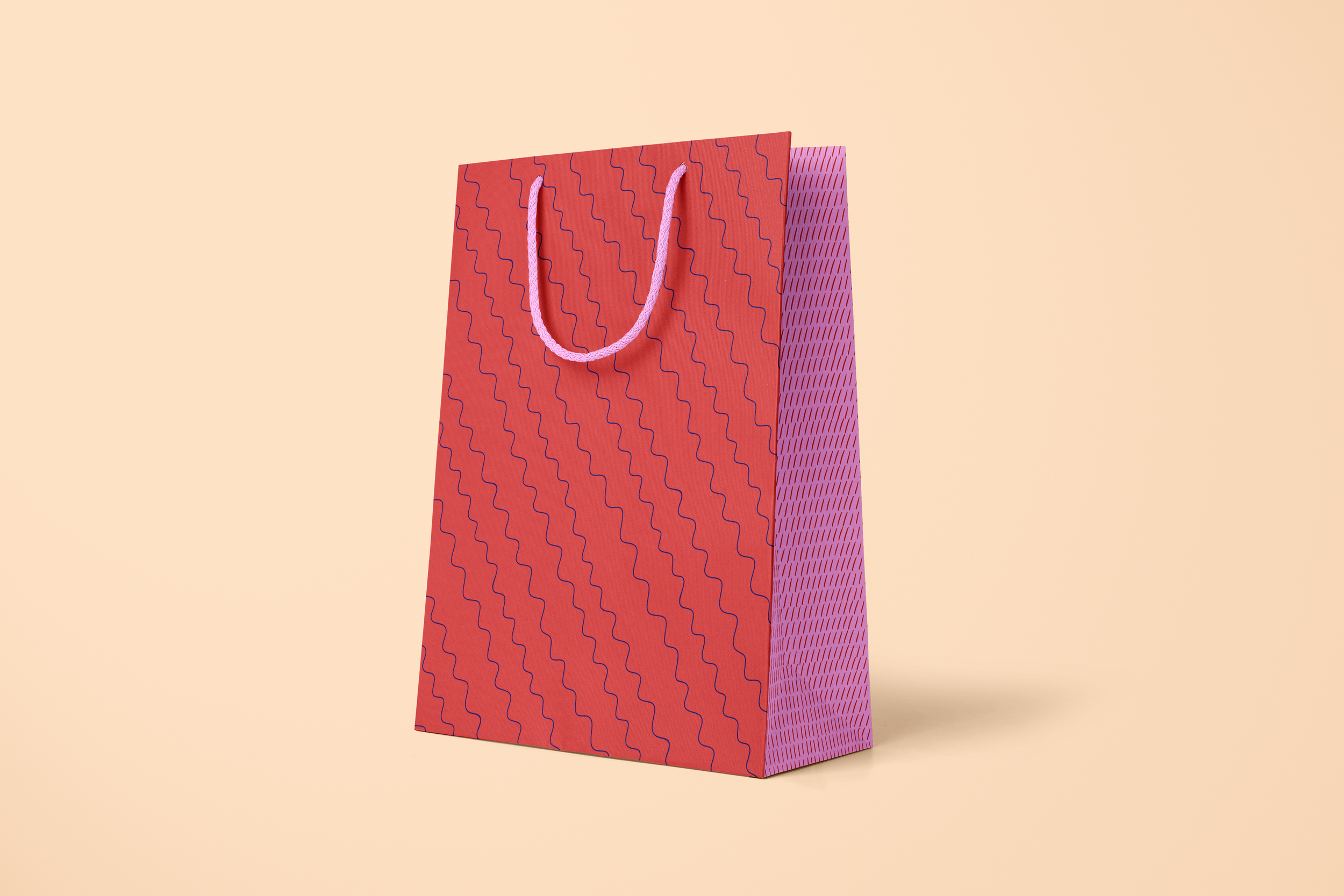 holiday bag mock.png