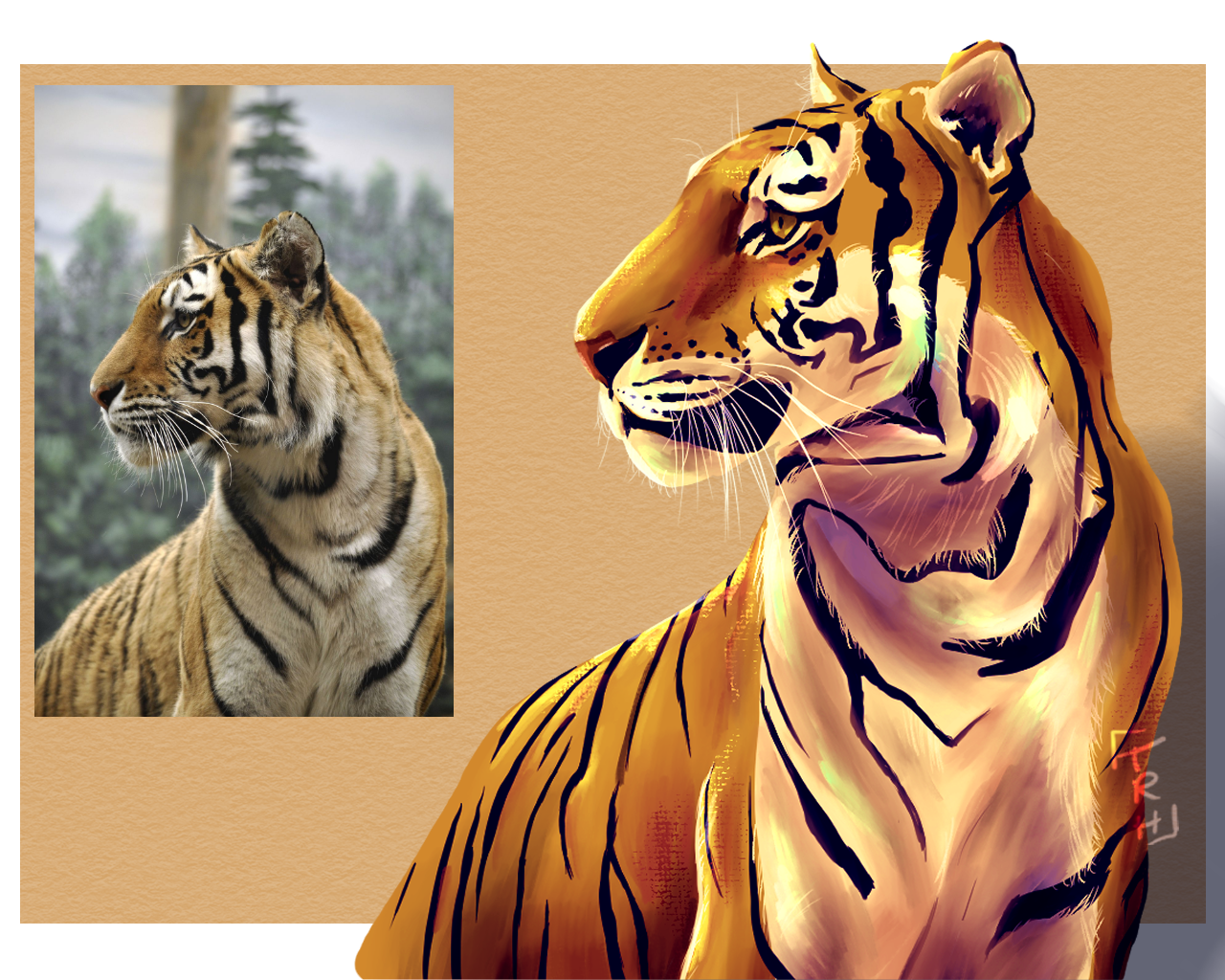 Tiger Study
