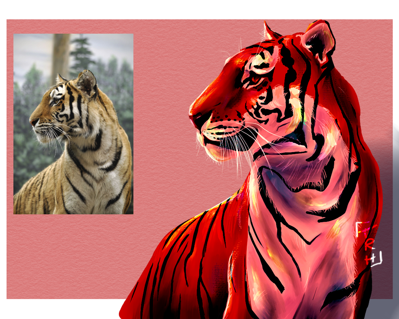 Tiger Study Alternative