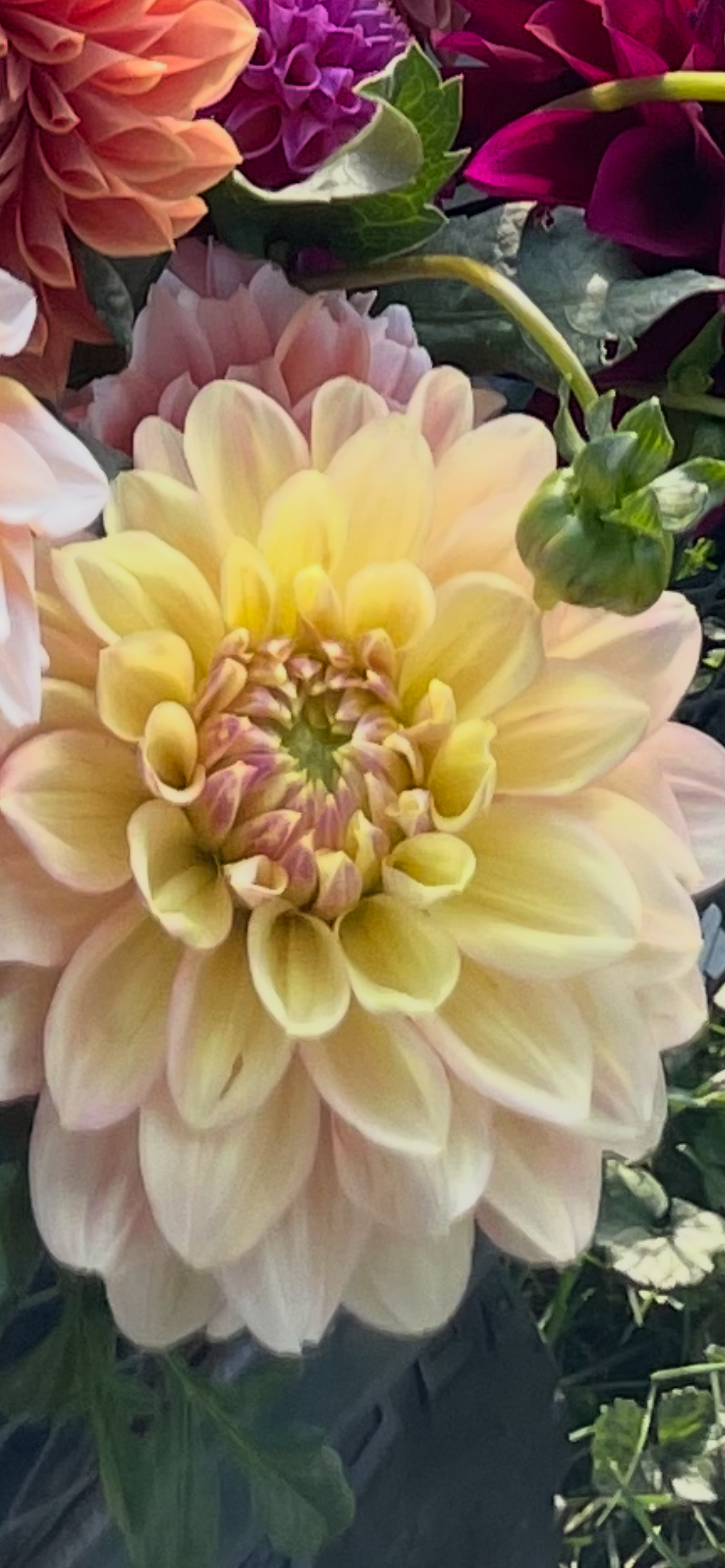 IMG_0746.png