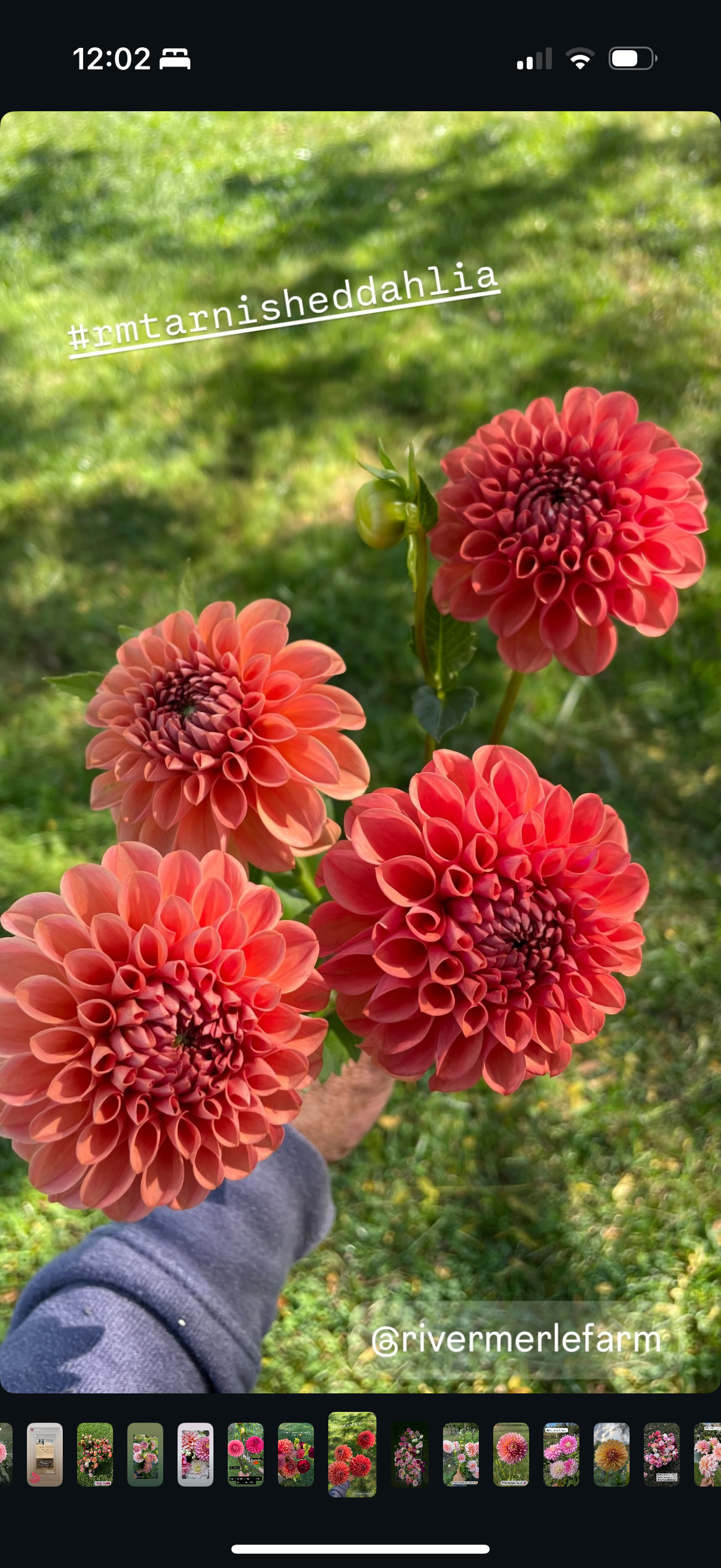 RM Tarnished- Limit 1