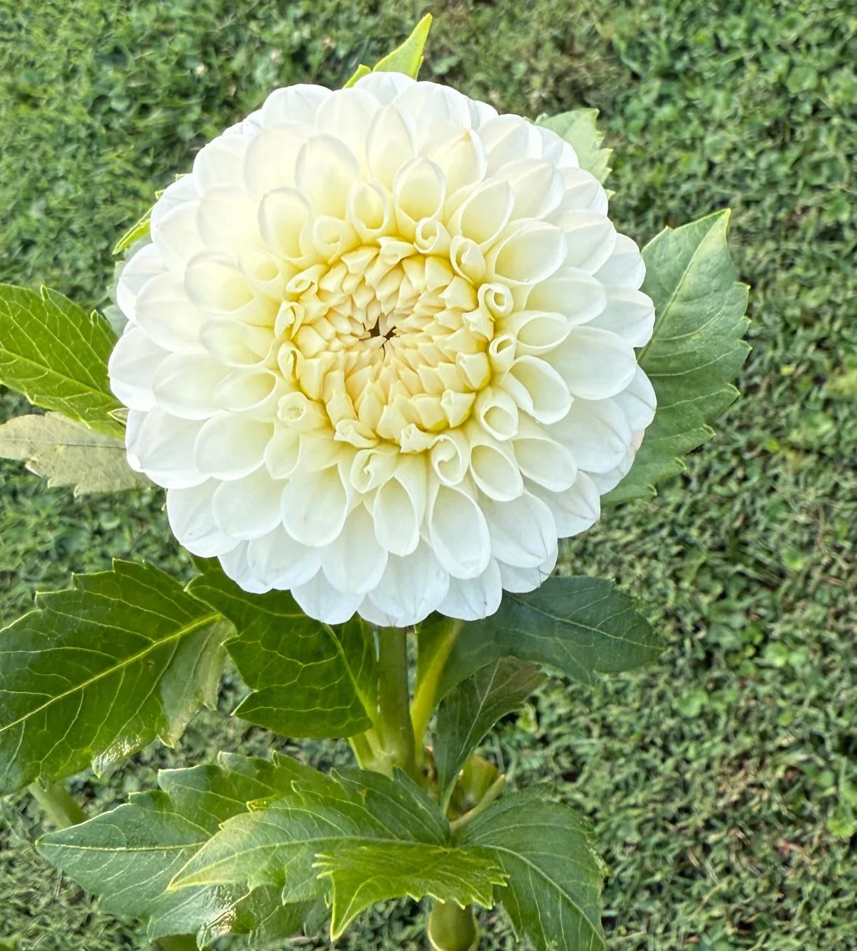 20th Ave and Baker Road