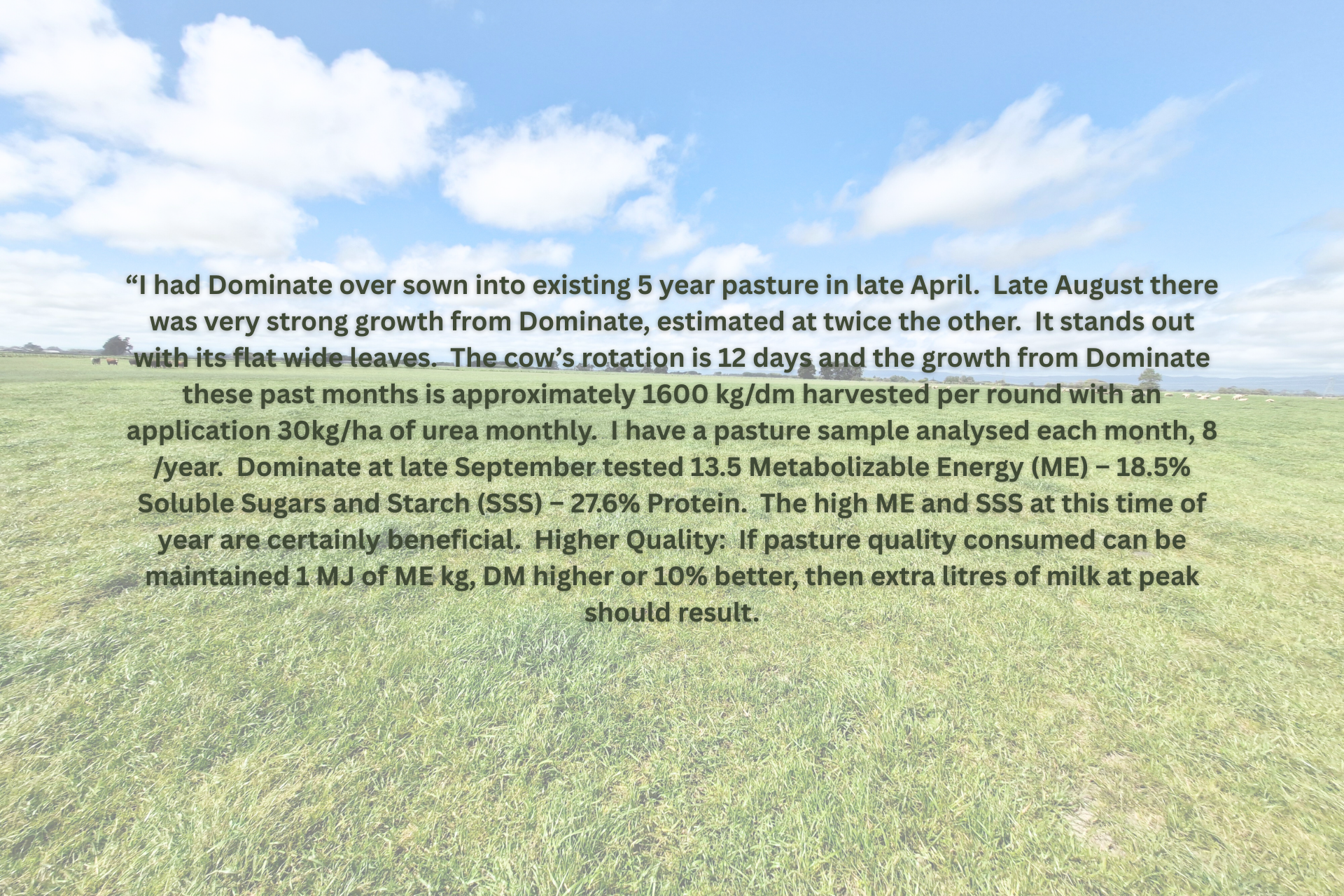 Text about cow pasture and crop analysis over a green field with cows in the distance under a blue sky with clouds.