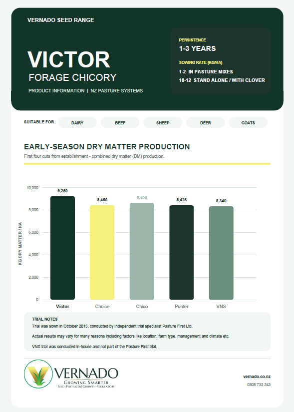 victor chicory