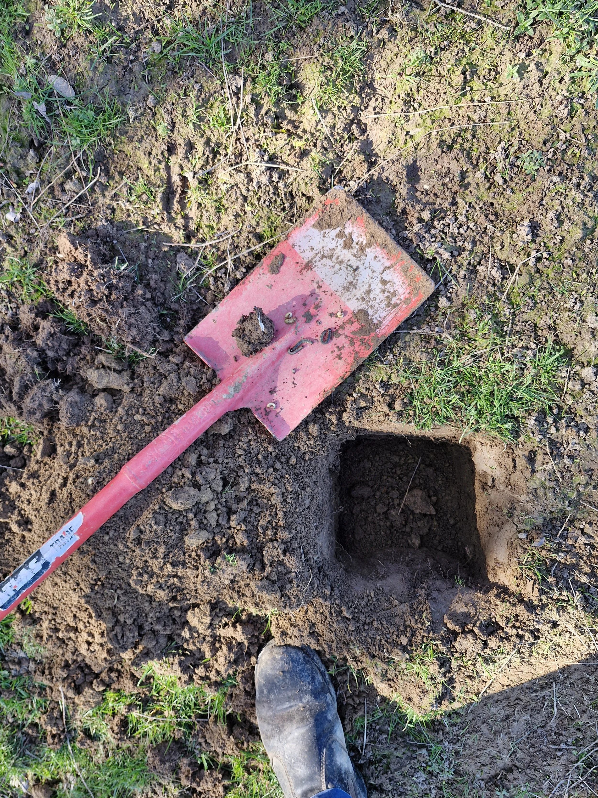 A pink hand shovel in the soil next to an empty hole, with some small objects and debris on the shovel. Grass and dirt surround the scene, and a person's boot is visible at the bottom of the image.