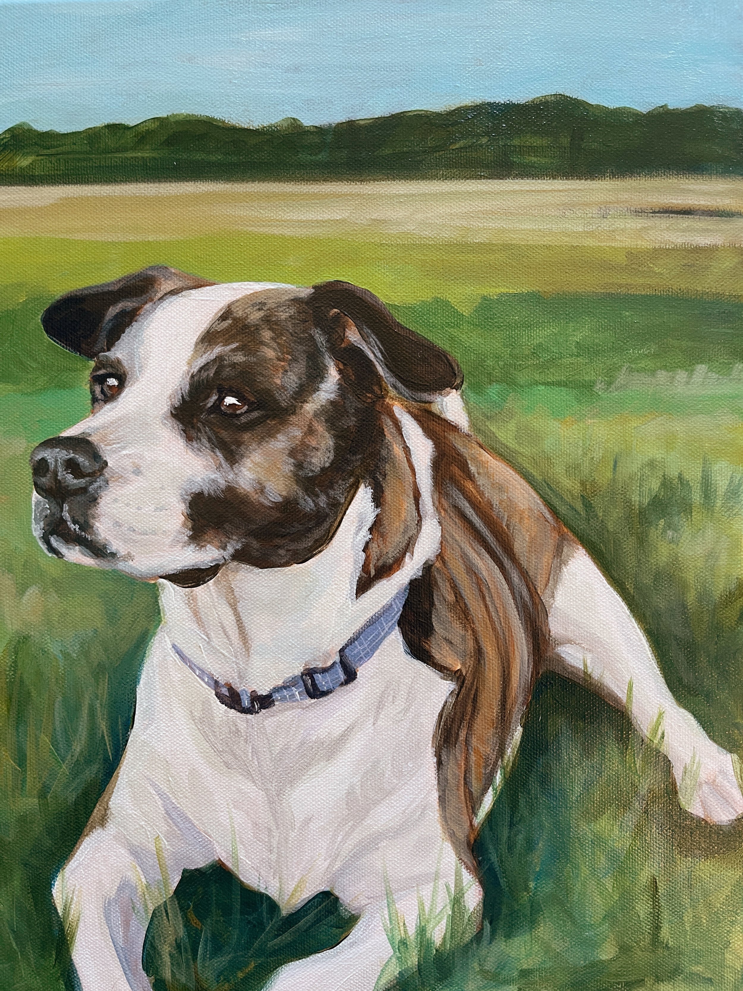 Original acrylic, 11"x14", custom dog portrait, 2024.